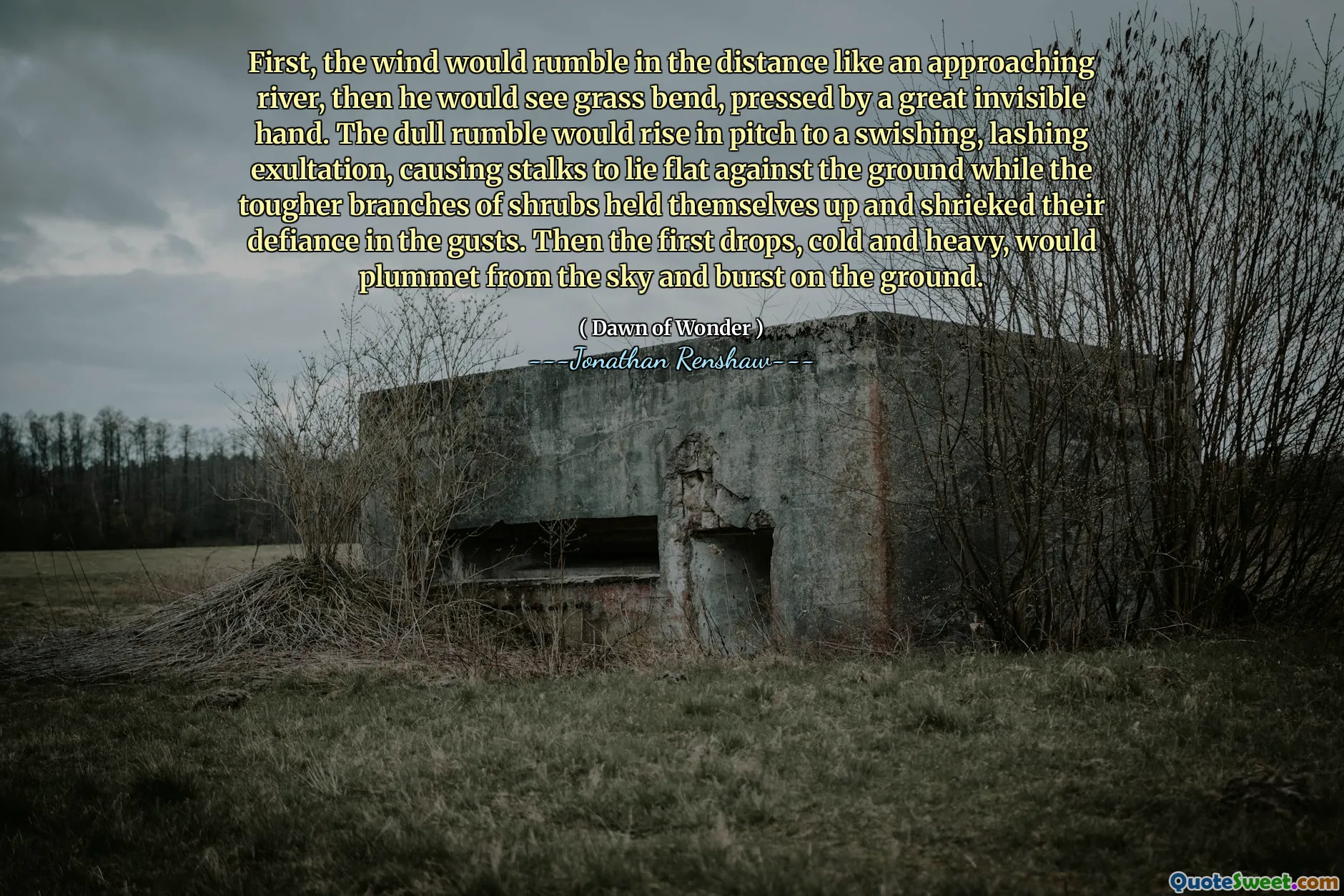 First, the wind would rumble in the distance like an approaching river, then he would see grass bend, pressed by a great invisible hand. The dull rumble would rise in pitch to a swishing, lashing exultation, causing stalks to lie flat against the ground while the tougher branches of shrubs held themselves up and shrieked their defiance in the gusts. Then the first drops, cold and heavy, would plummet from the sky and burst on the ground.