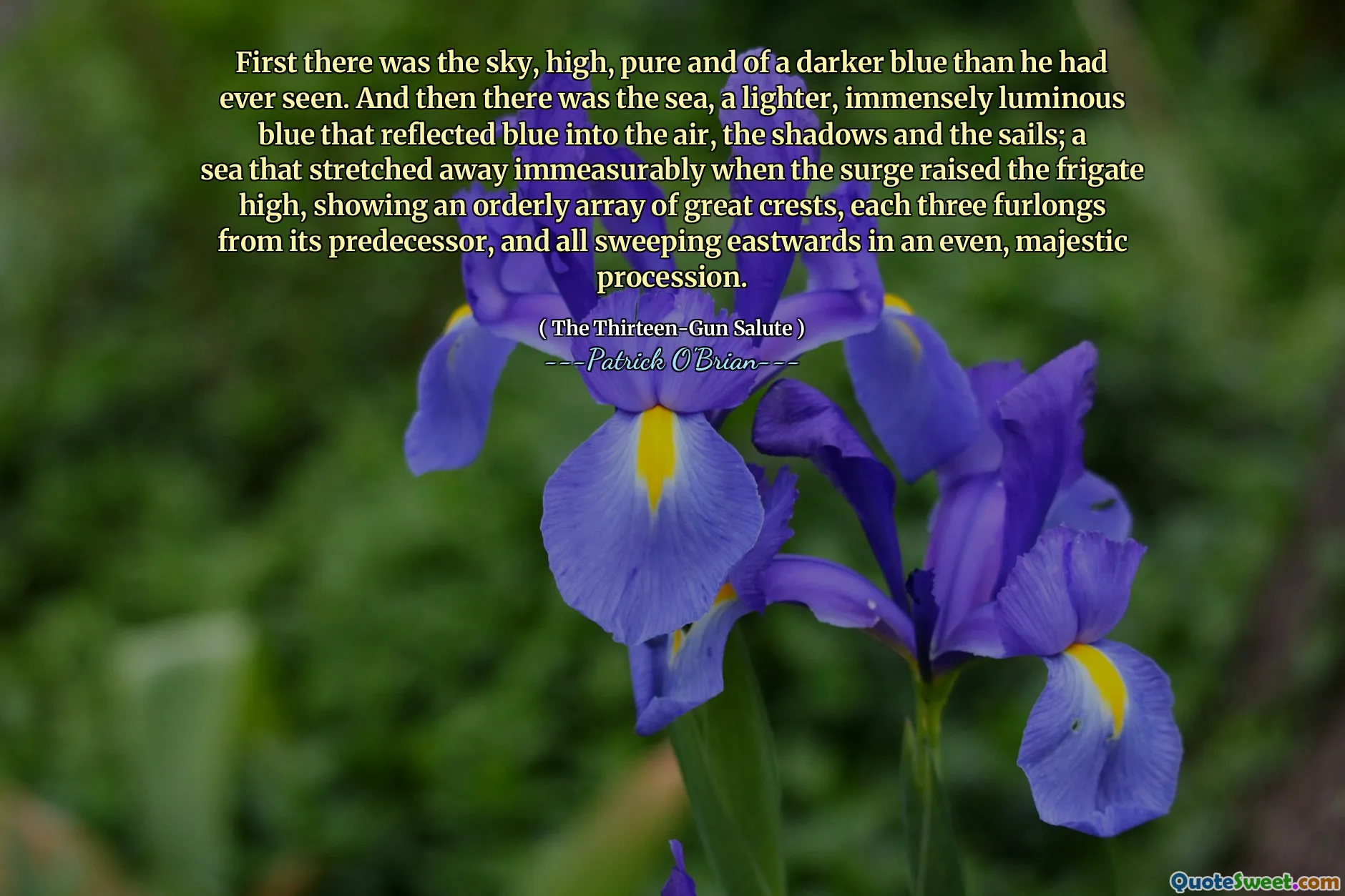 First there was the sky, high, pure and of a darker blue than he had ever seen. And then there was the sea, a lighter, immensely luminous blue that reflected blue into the air, the shadows and the sails; a sea that stretched away immeasurably when the surge raised the frigate high, showing an orderly array of great crests, each three furlongs from its predecessor, and all sweeping eastwards in an even, majestic procession.