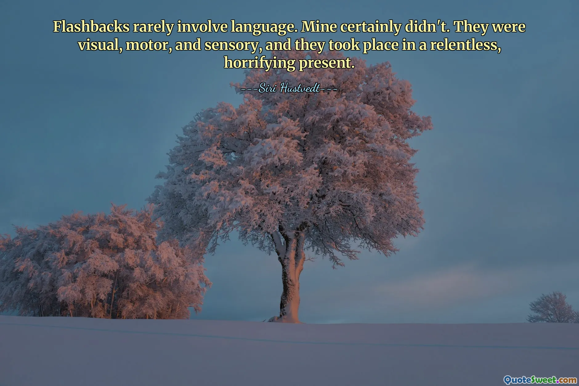 Flashbacks rarely involve language. Mine certainly didn't. They were visual, motor, and sensory, and they took place in a relentless, horrifying present.