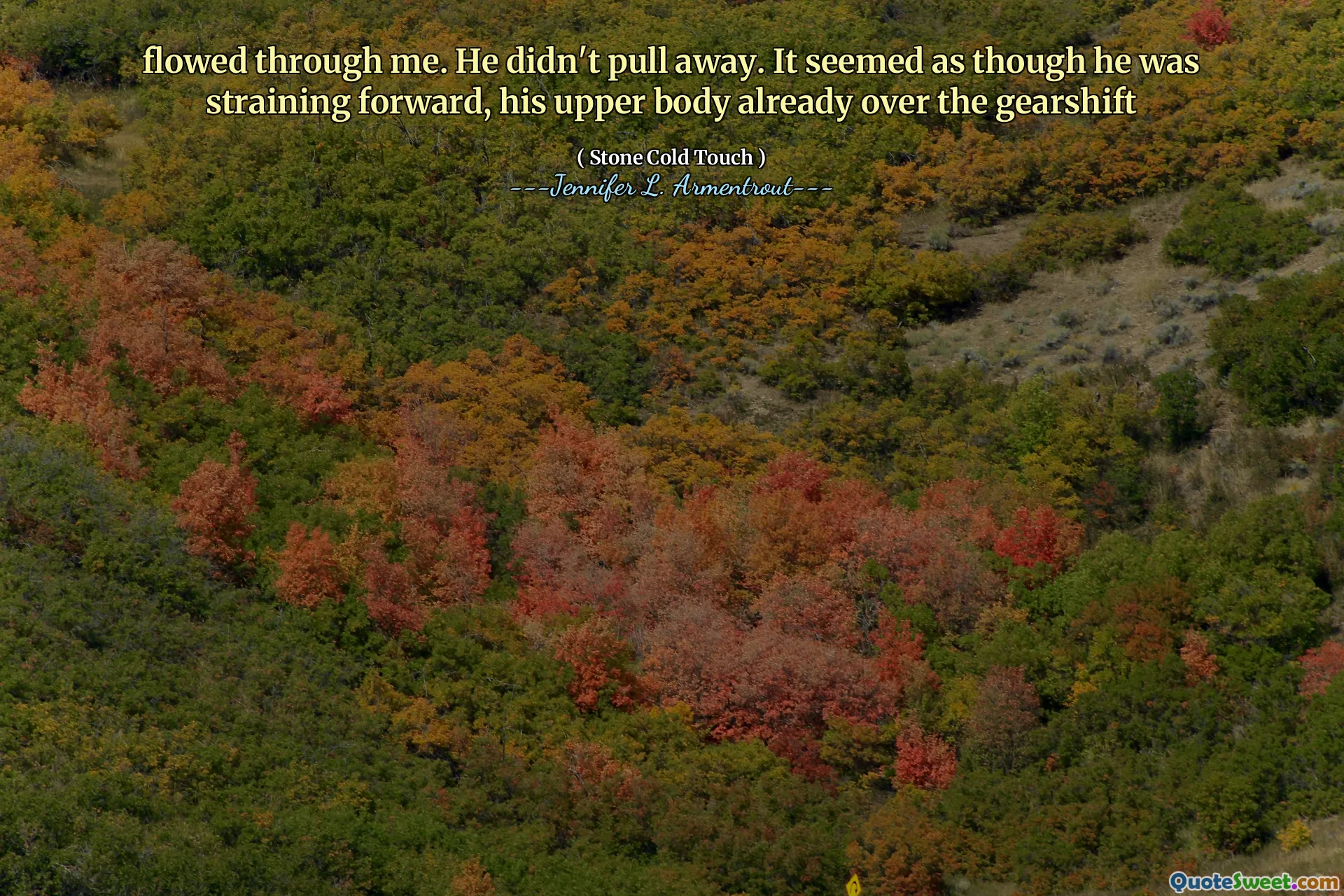 flowed through me. He didn't pull away. It seemed as though he was straining forward, his upper body already over the gearshift