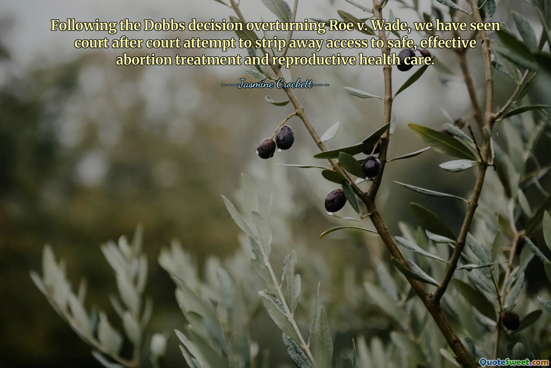 Following the Dobbs decision overturning Roe v. Wade, we have seen court after court attempt to strip away access to safe, effective abortion treatment and reproductive health care.