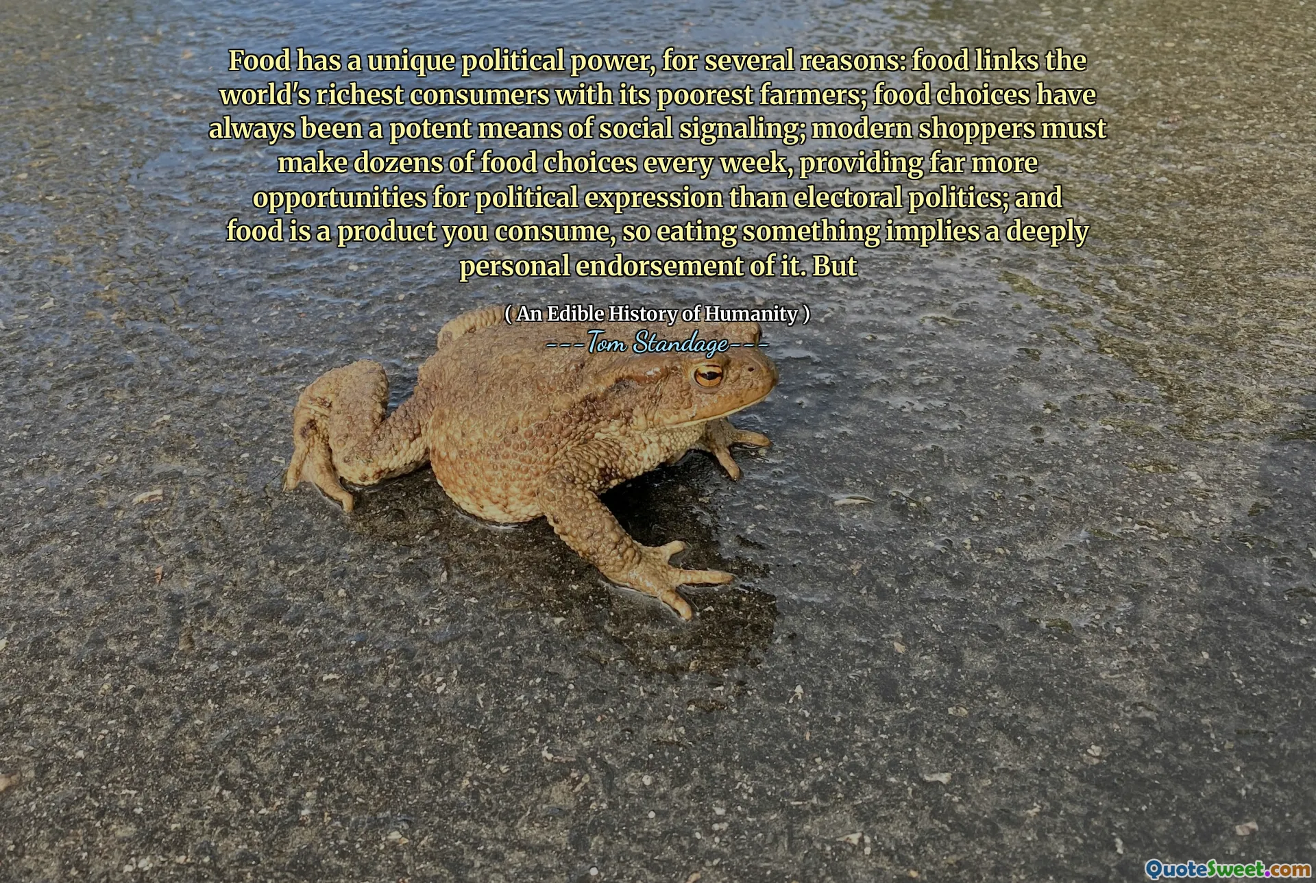 Food has a unique political power, for several reasons: food links the world's richest consumers with its poorest farmers; food choices have always been a potent means of social signaling; modern shoppers must make dozens of food choices every week, providing far more opportunities for political expression than electoral politics; and food is a product you consume, so eating something implies a deeply personal endorsement of it. But