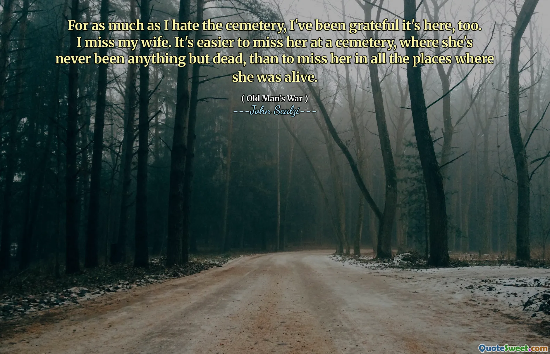 就像我讨厌墓地一样，我也很感激它在这里。我想念我的妻子。在她还活着的所有地方想念她的墓地，在她从来没有死的公墓都想念她要容易得多。
