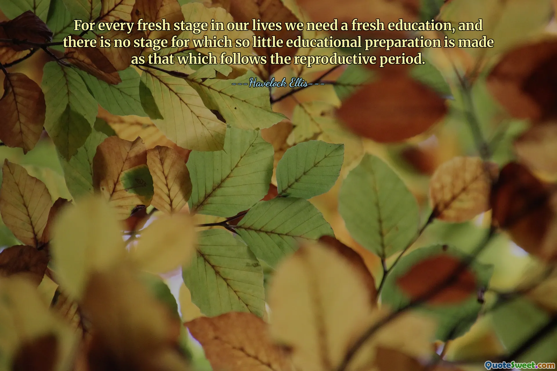 Para cada nueva etapa de nuestra vida necesitamos una nueva educación, y no hay etapa para la cual se haga tan poca preparación educativa como la que sigue al período reproductivo.