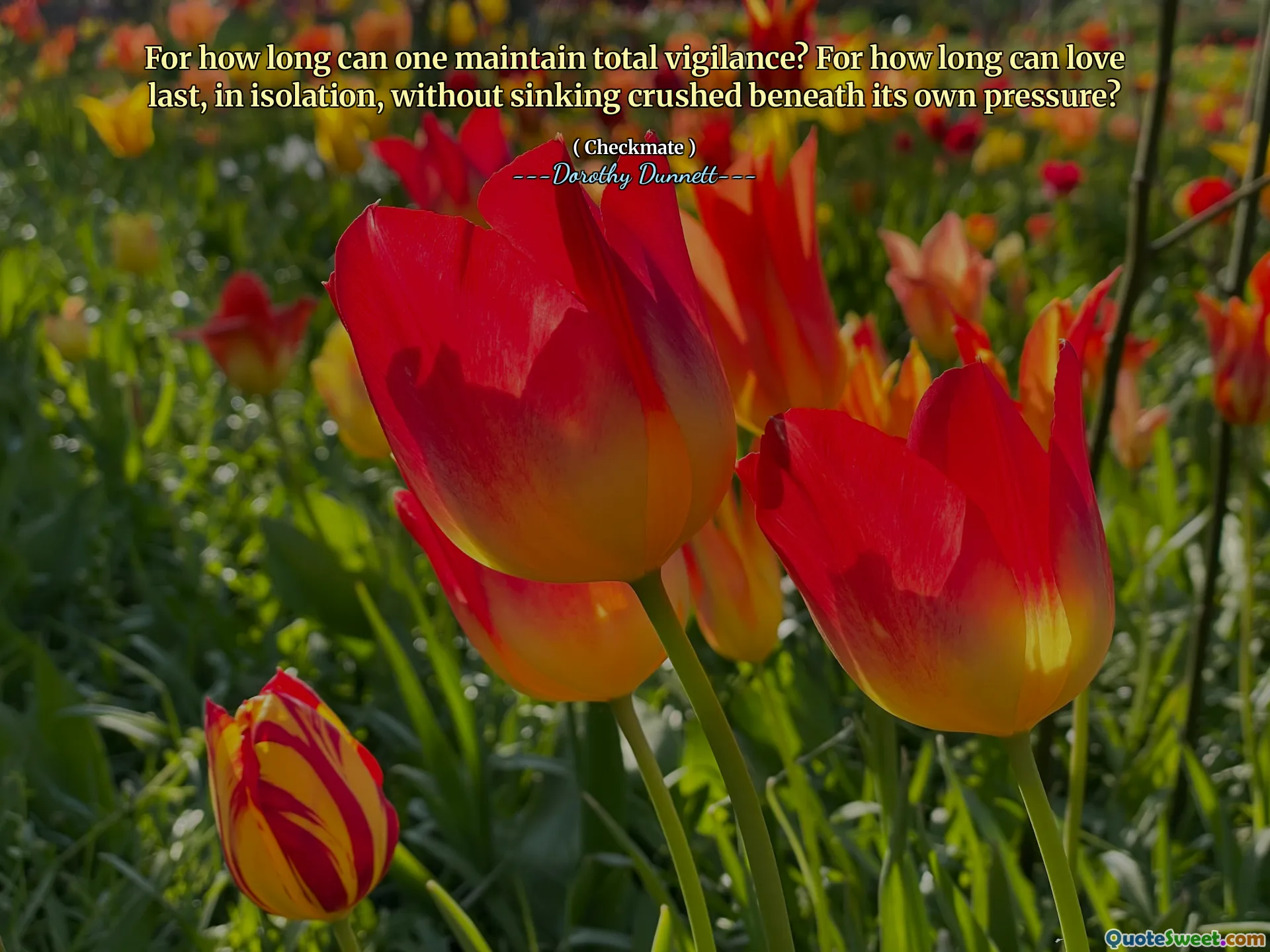For how long can one maintain total vigilance? For how long can love last, in isolation, without sinking crushed beneath its own pressure?