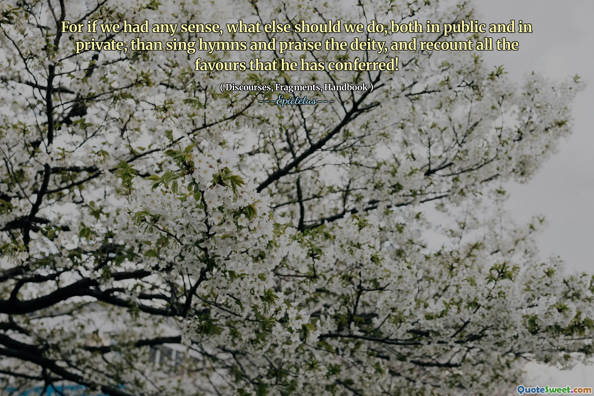 우리가 어떤 의미가 있다면, 공개적으로나 사적으로, 찬송가를 부르고 신을 찬양하고, 그가 부여한 모든 호의를 이야기하는 것보다 다른 일을해야합니다!
