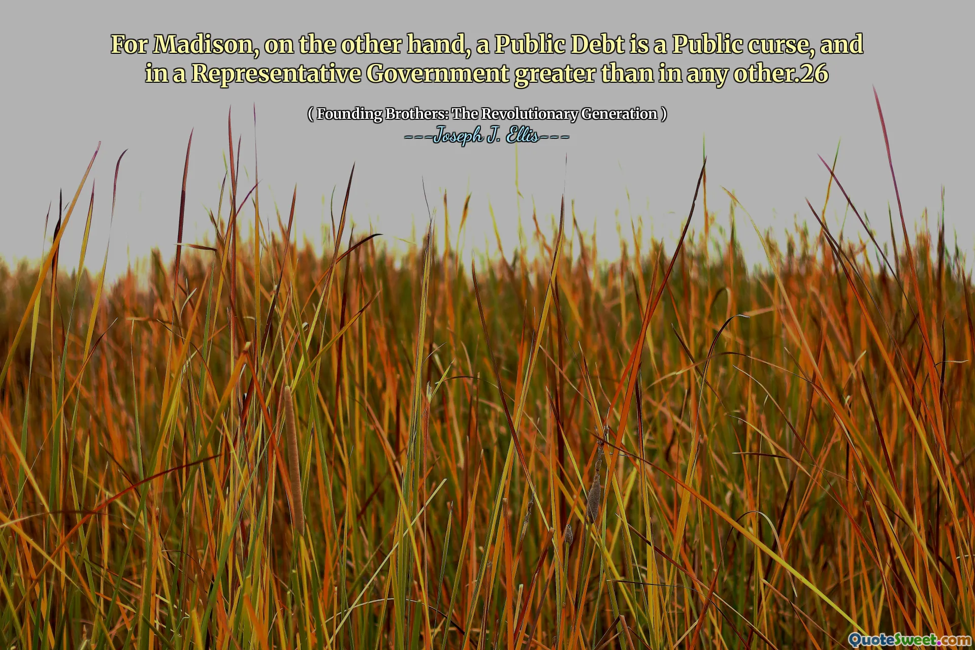 For Madison, on the other hand, a Public Debt is a Public curse, and in a Representative Government greater than in any other.26