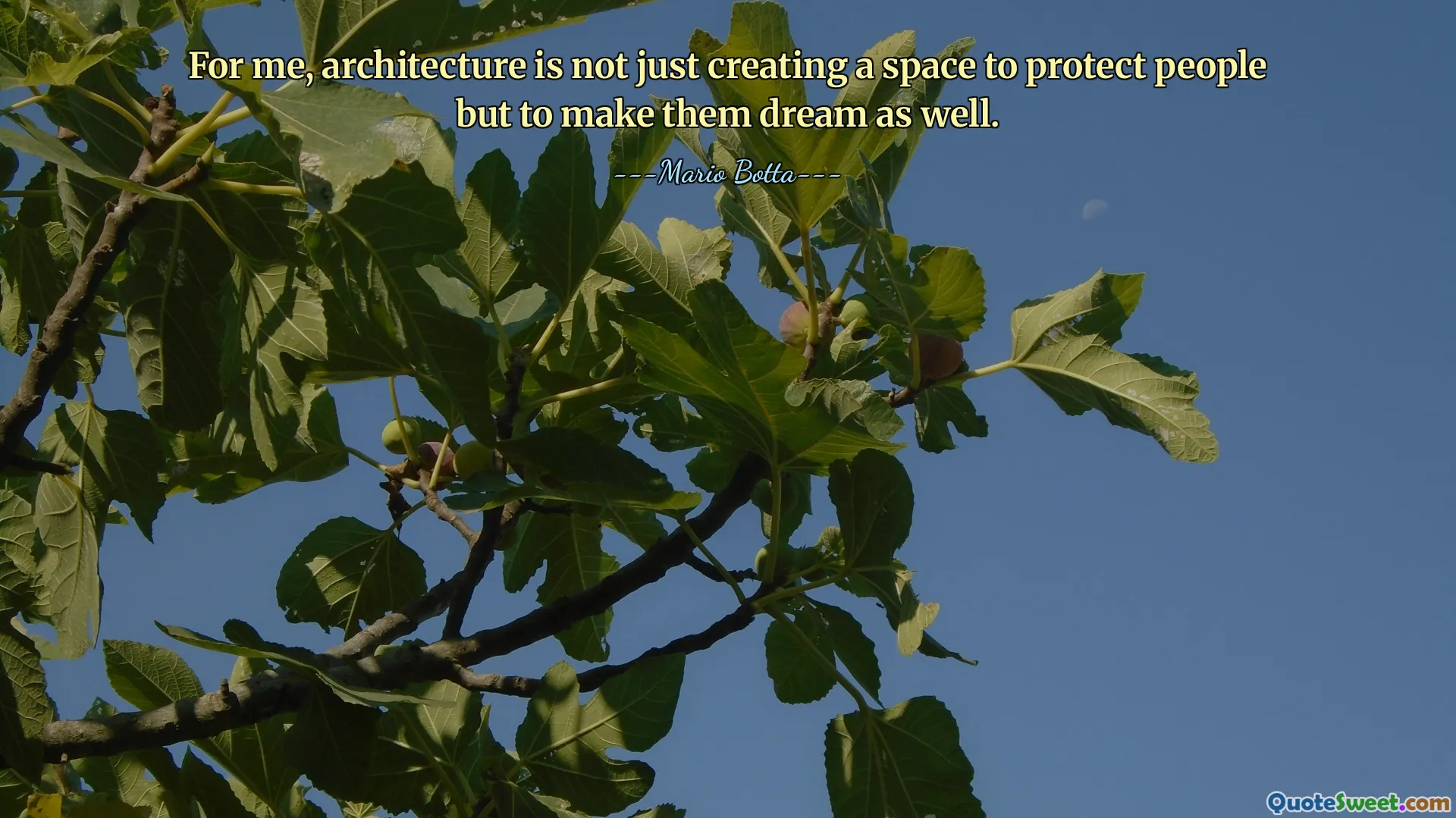For me, architecture is not just creating a space to protect people but to make them dream as well.