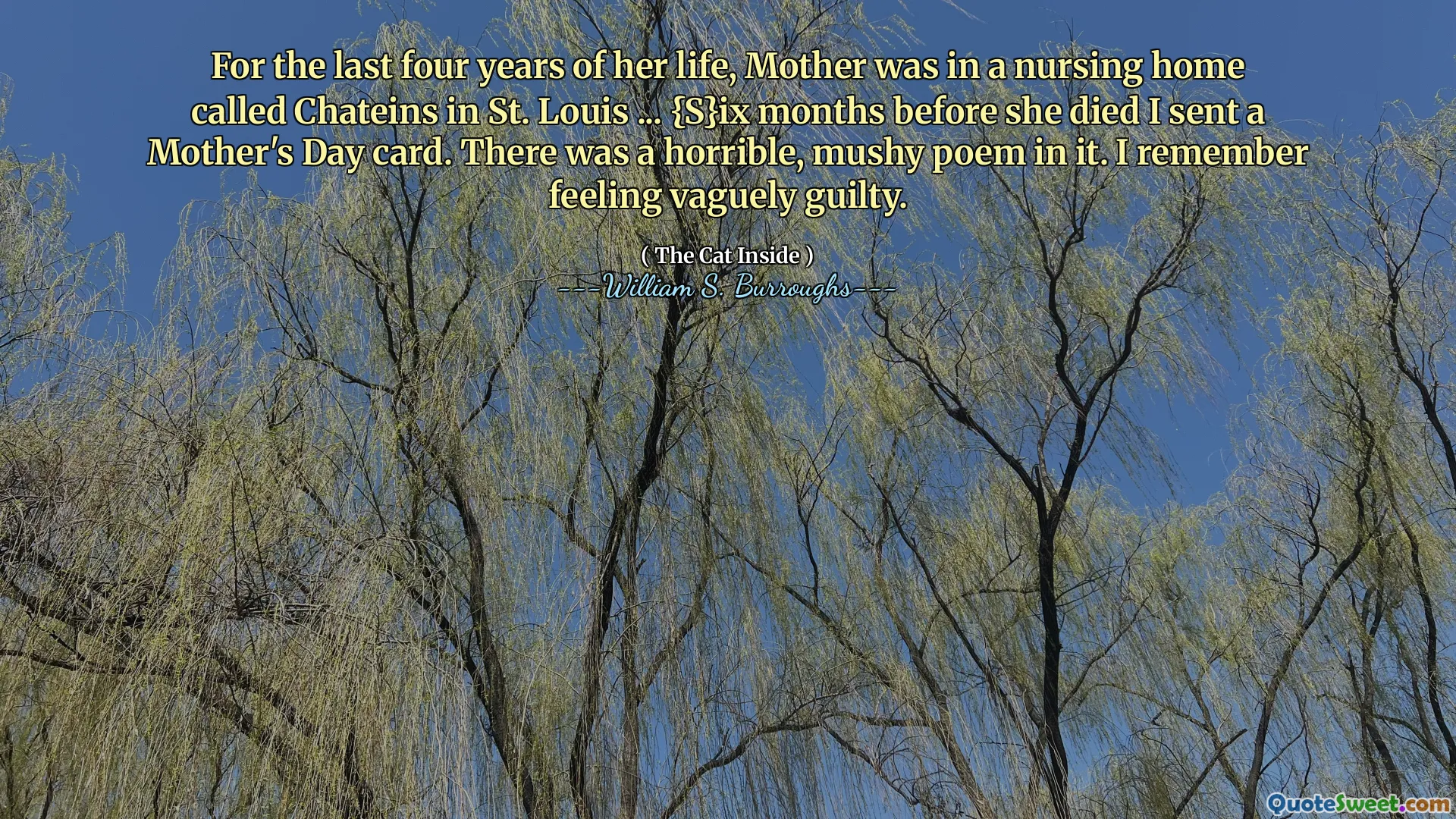 For the last four years of her life, Mother was in a nursing home called Chateins in St. Louis ... {S}ix months before she died I sent a Mother's Day card. There was a horrible, mushy poem in it. I remember feeling vaguely guilty.