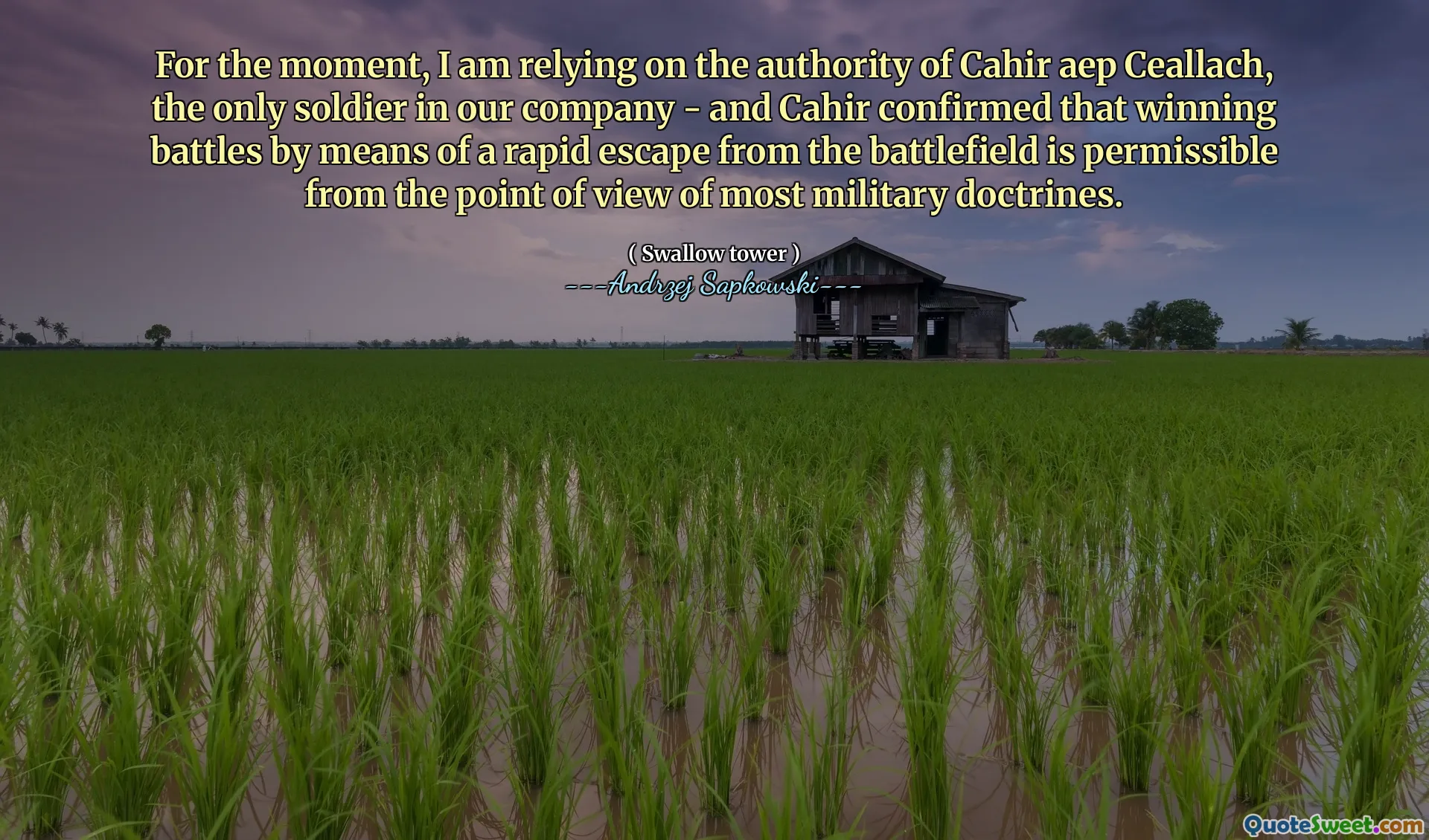 For the moment, I am relying on the authority of Cahir aep Ceallach, the only soldier in our company - and Cahir confirmed that winning battles by means of a rapid escape from the battlefield is permissible from the point of view of most military doctrines.