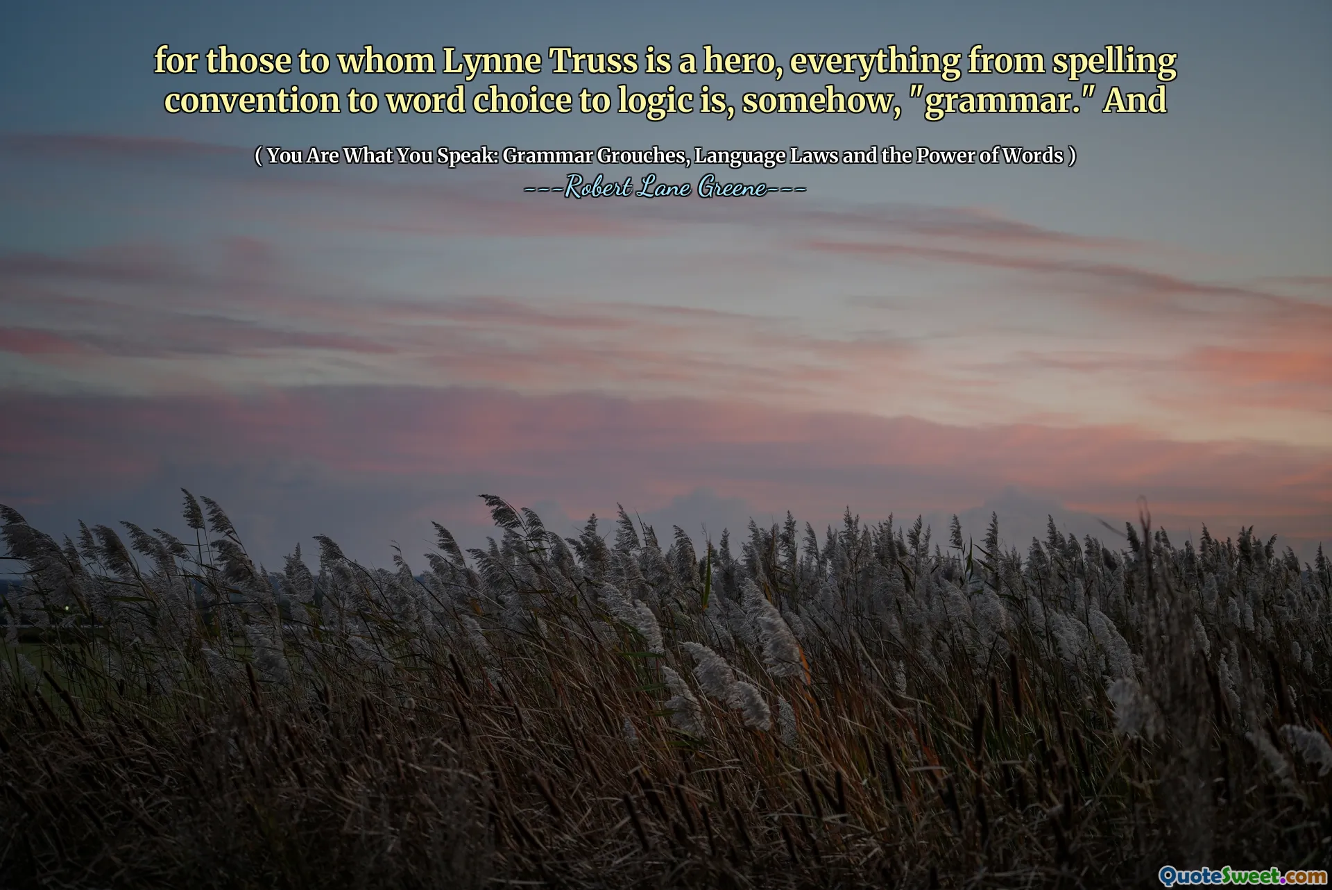 for those to whom Lynne Truss is a hero, everything from spelling convention to word choice to logic is, somehow, "grammar." And