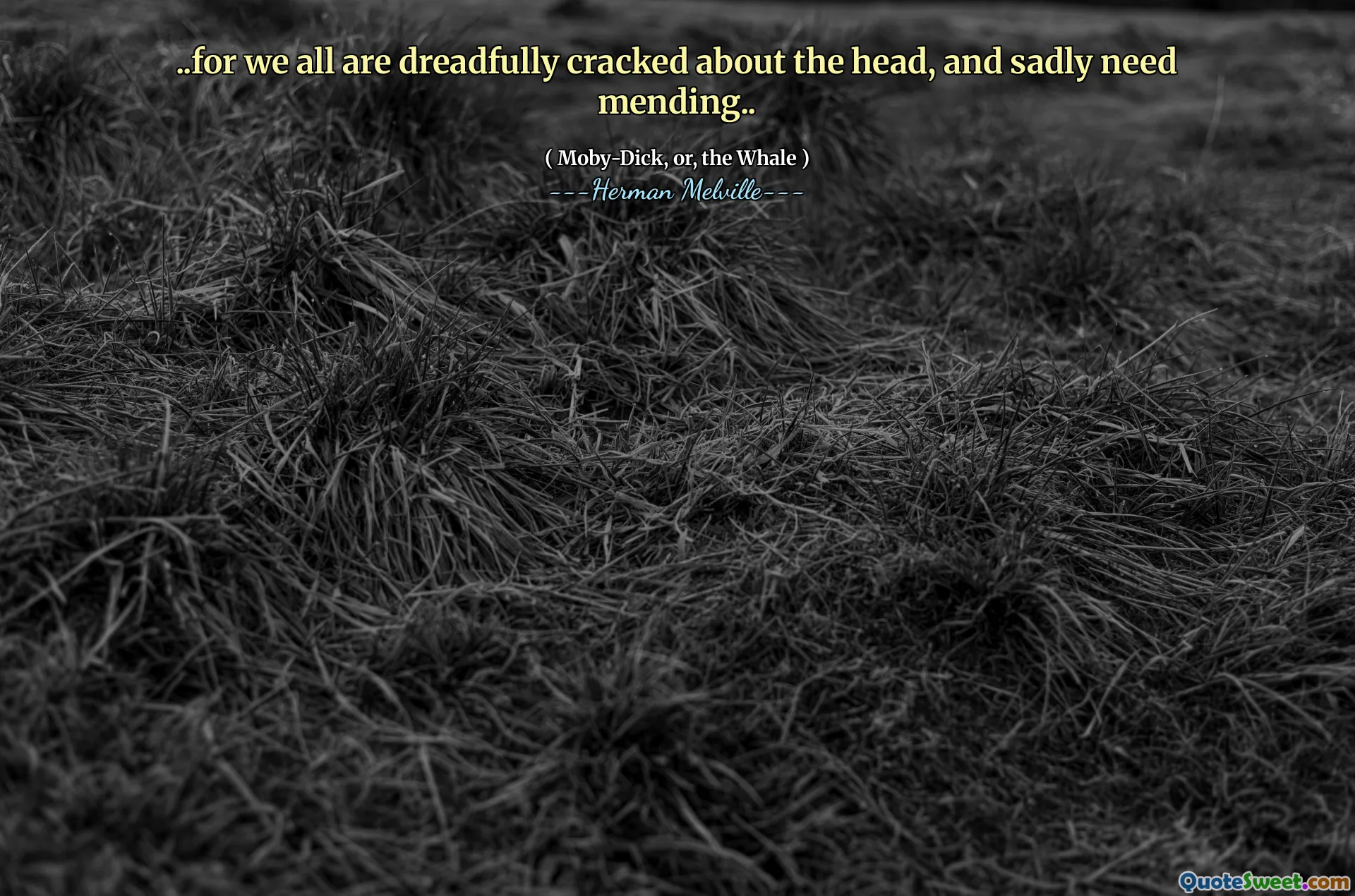 .. för att vi alla är fruktansvärt knäckta om huvudet och behöver tyvärr laga ..