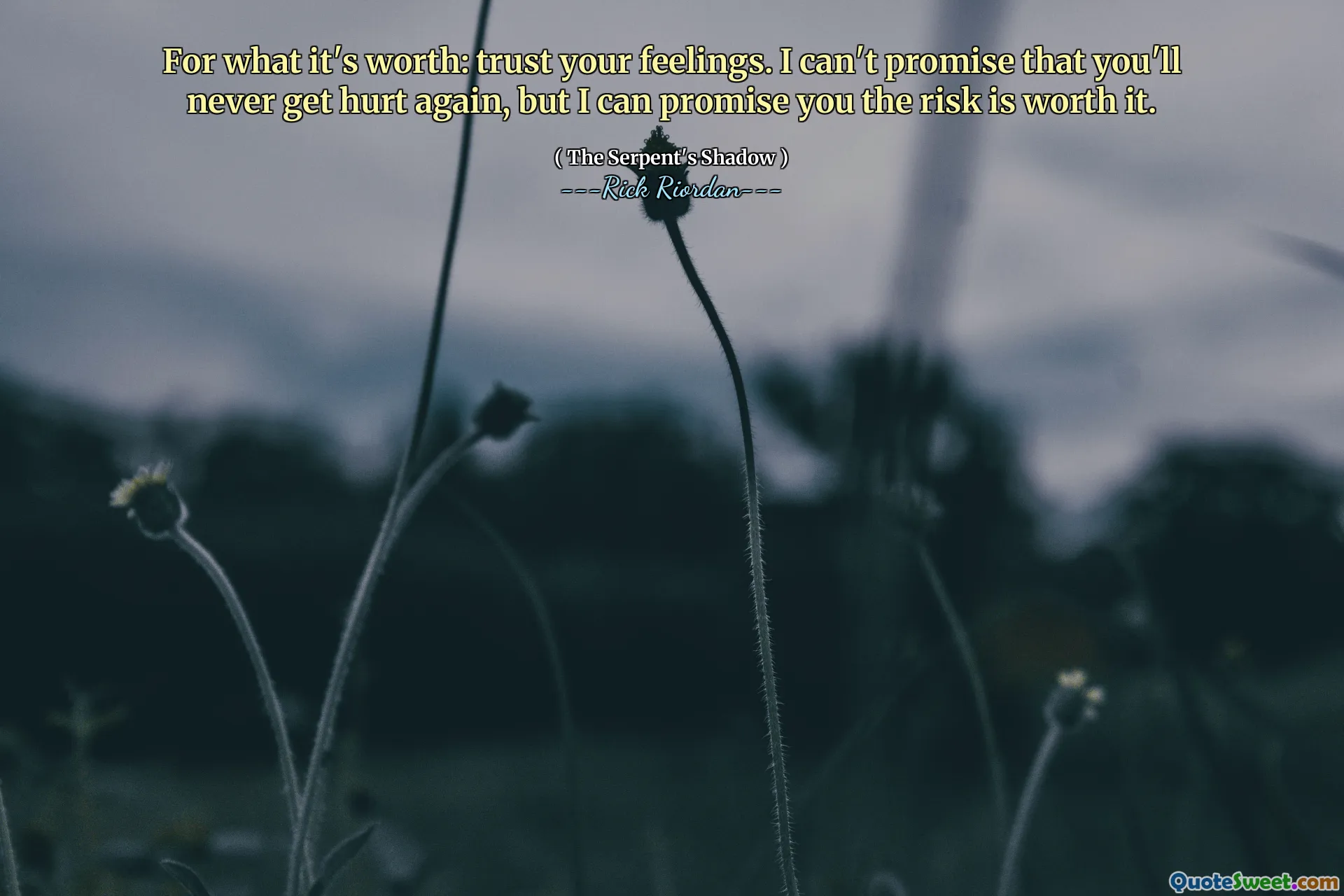 For what it's worth: trust your feelings. I can't promise that you'll never get hurt again, but I can promise you the risk is worth it.