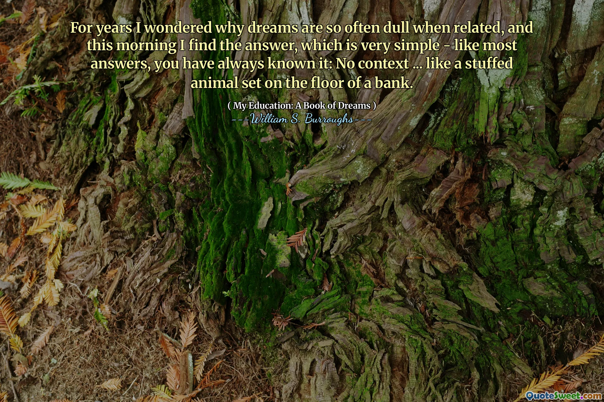 Per anni mi chiedevo perché i sogni sono così spesso noiosi quando sono collegati, e questa mattina trovo la risposta, che è molto semplice - come la maggior parte delle risposte, l'hai sempre saputo: nessun contesto ... come un animale di peluche sul pavimento di una banca.