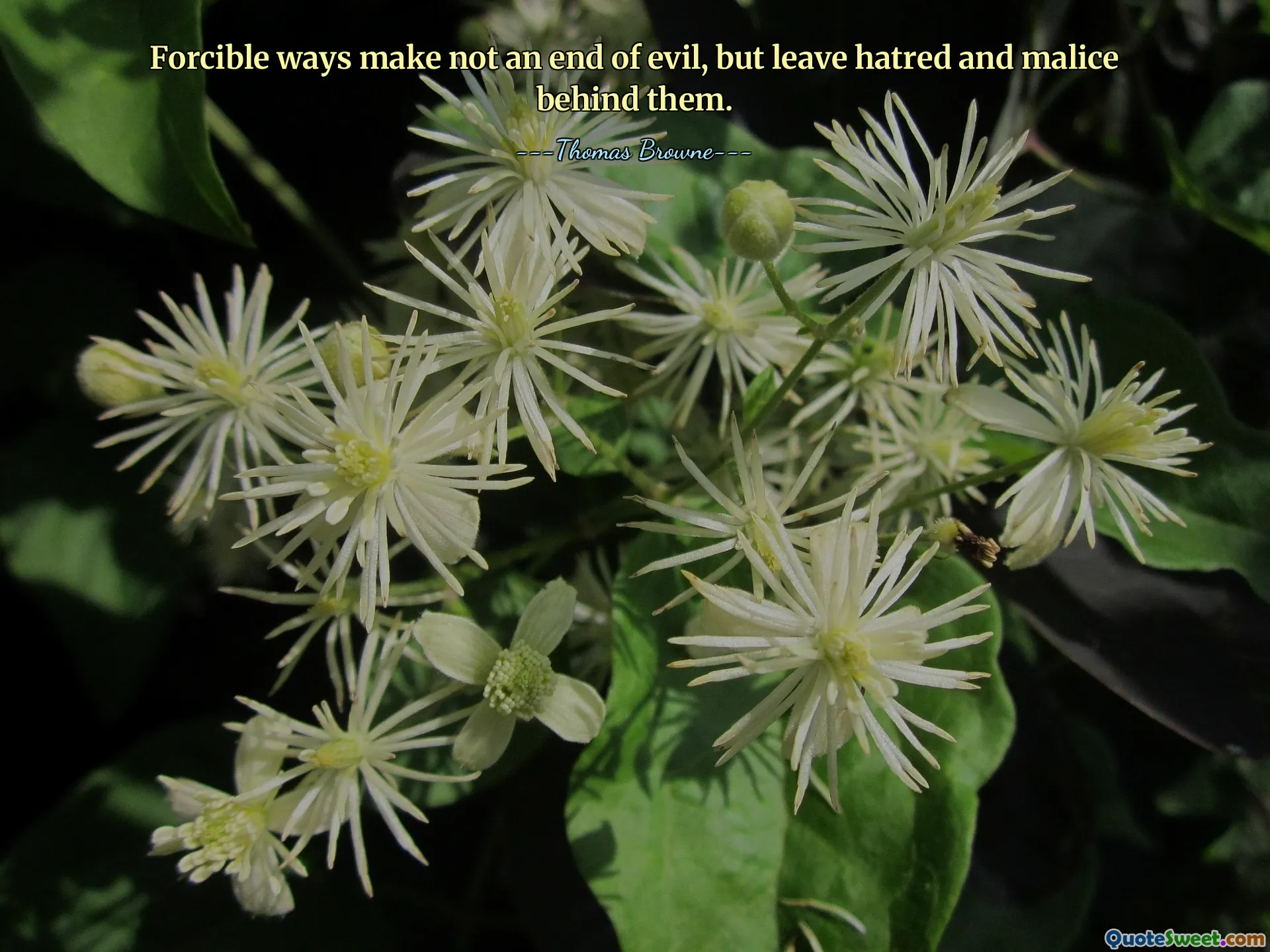 Forcible ways make not an end of evil, but leave hatred and malice behind them.