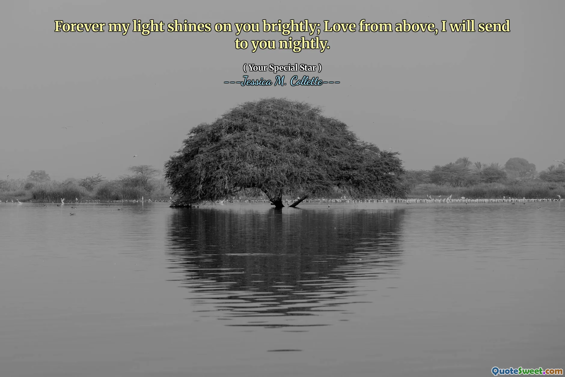 Forever my light shines on you brightly; Love from above, I will send to you nightly.