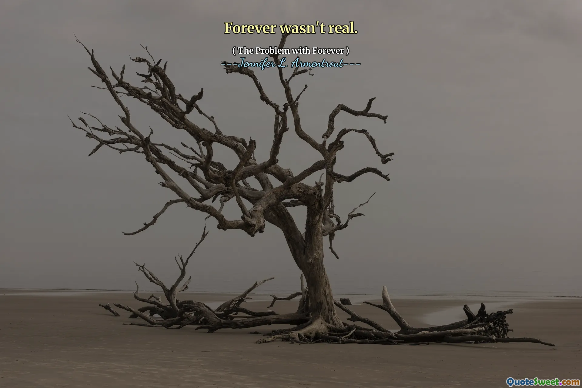 Forever wasn't real.