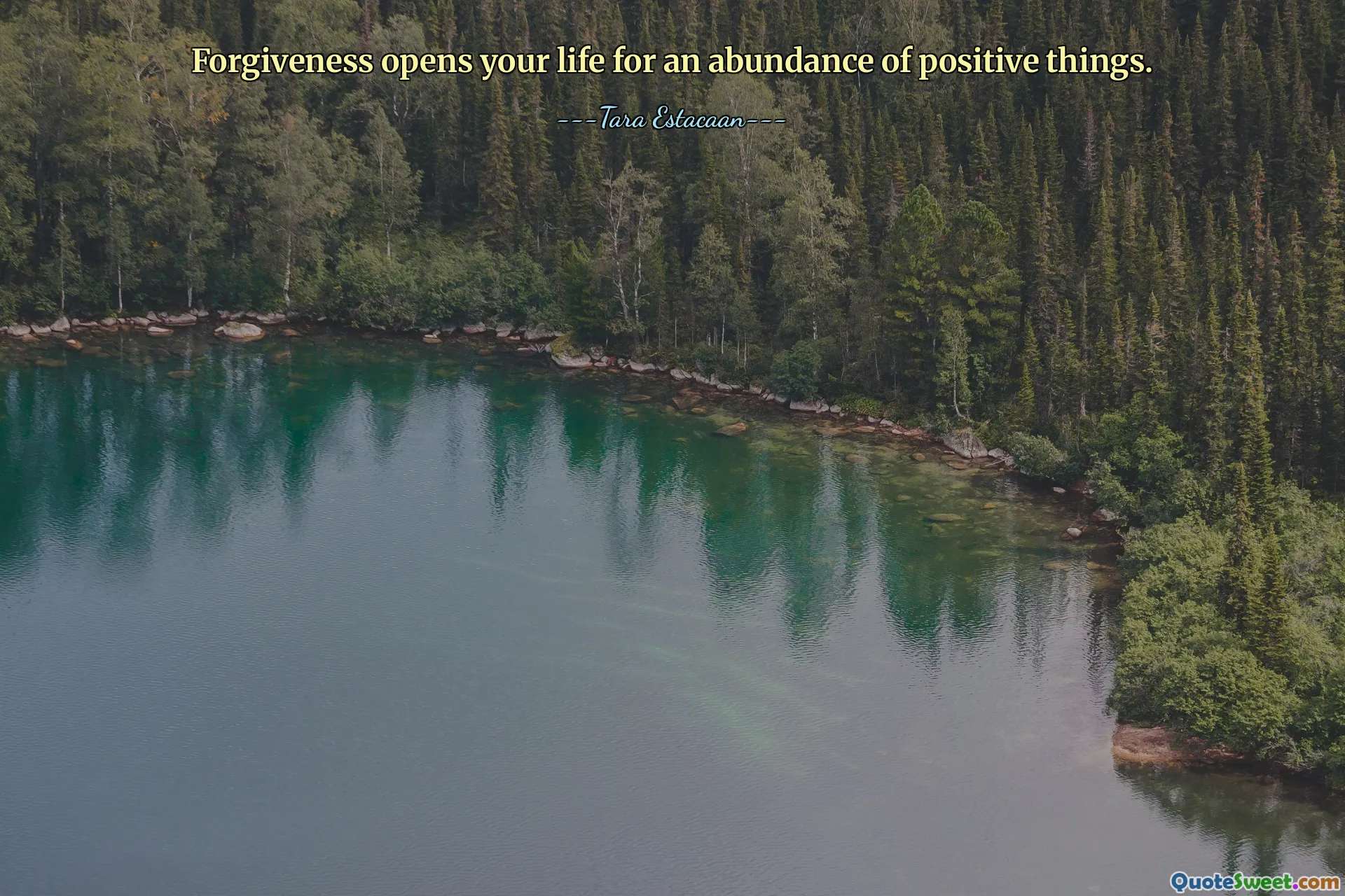 Forgiveness opens your life for an abundance of positive things.