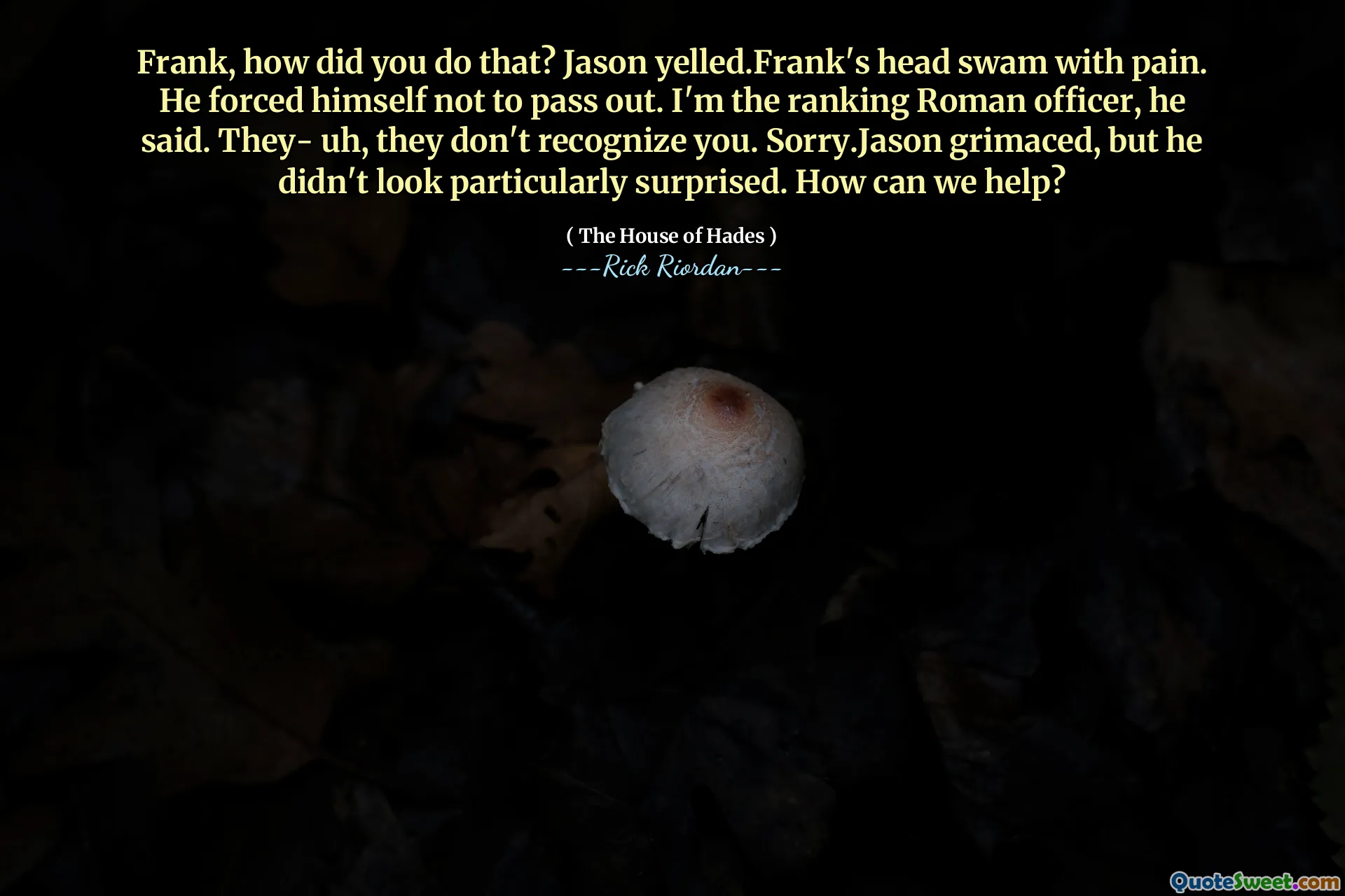 Frank, how did you do that? Jason yelled.Frank's head swam with pain. He forced himself not to pass out. I'm the ranking Roman officer, he said. They- uh, they don't recognize you. Sorry.Jason grimaced, but he didn't look particularly surprised. How can we help?