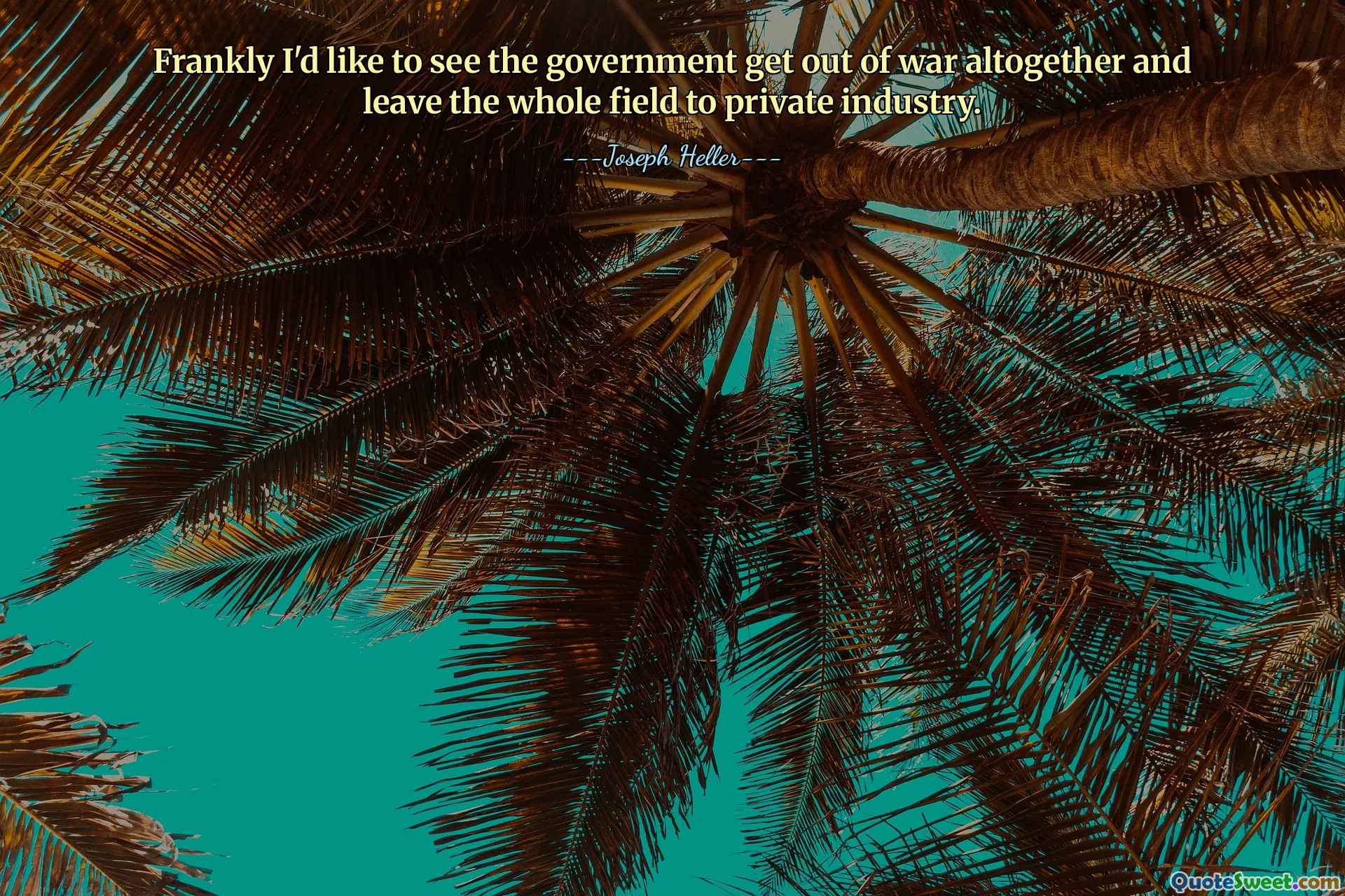 Frankly I'd like to see the government get out of war altogether and leave the whole field to private industry.