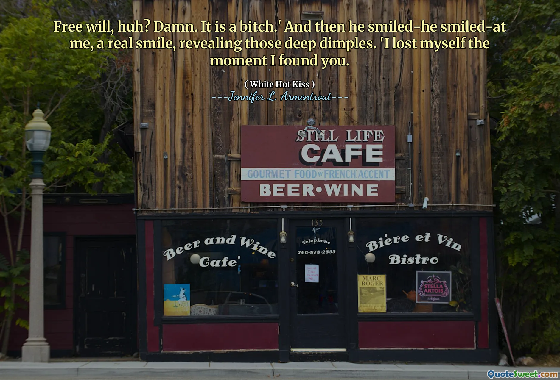 Free will, huh? Damn. It is a bitch.' And then he smiled-he smiled-at me, a real smile, revealing those deep dimples. 'I lost myself the moment I found you.