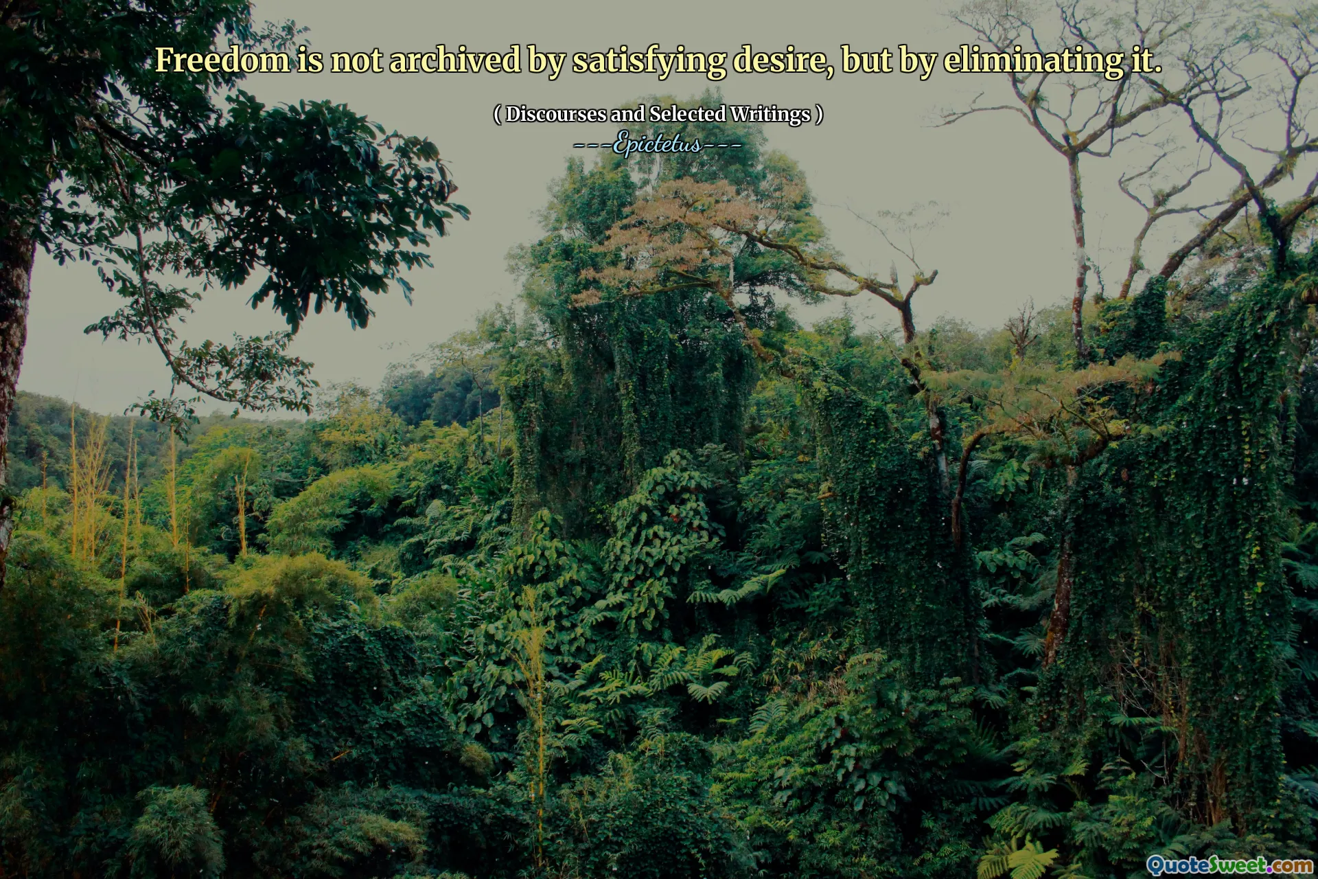 لا يتم أرشفة الحرية من خلال الرغبة المرضية ، ولكن من خلال القضاء عليها.