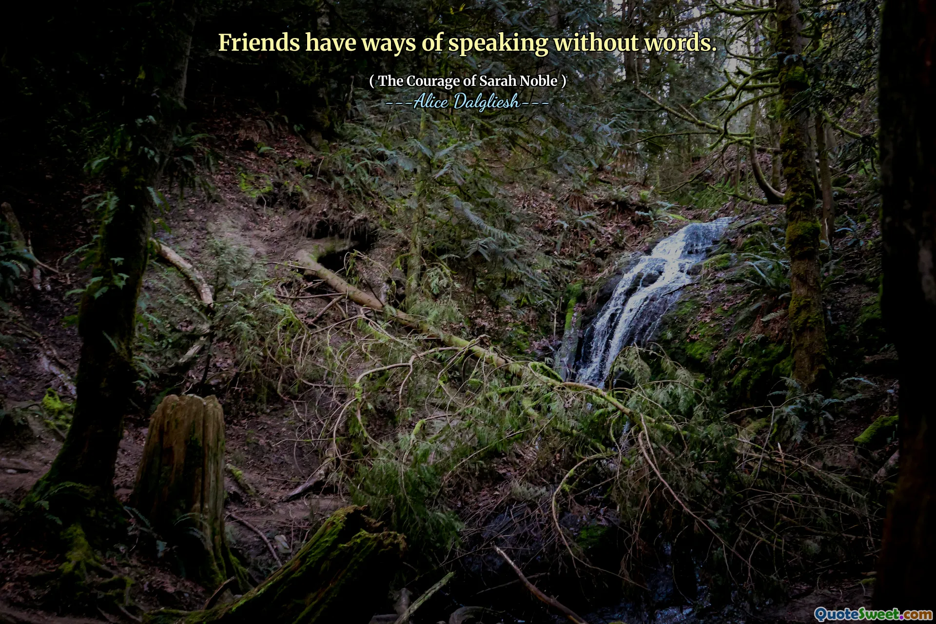 Friends have ways of speaking without words.