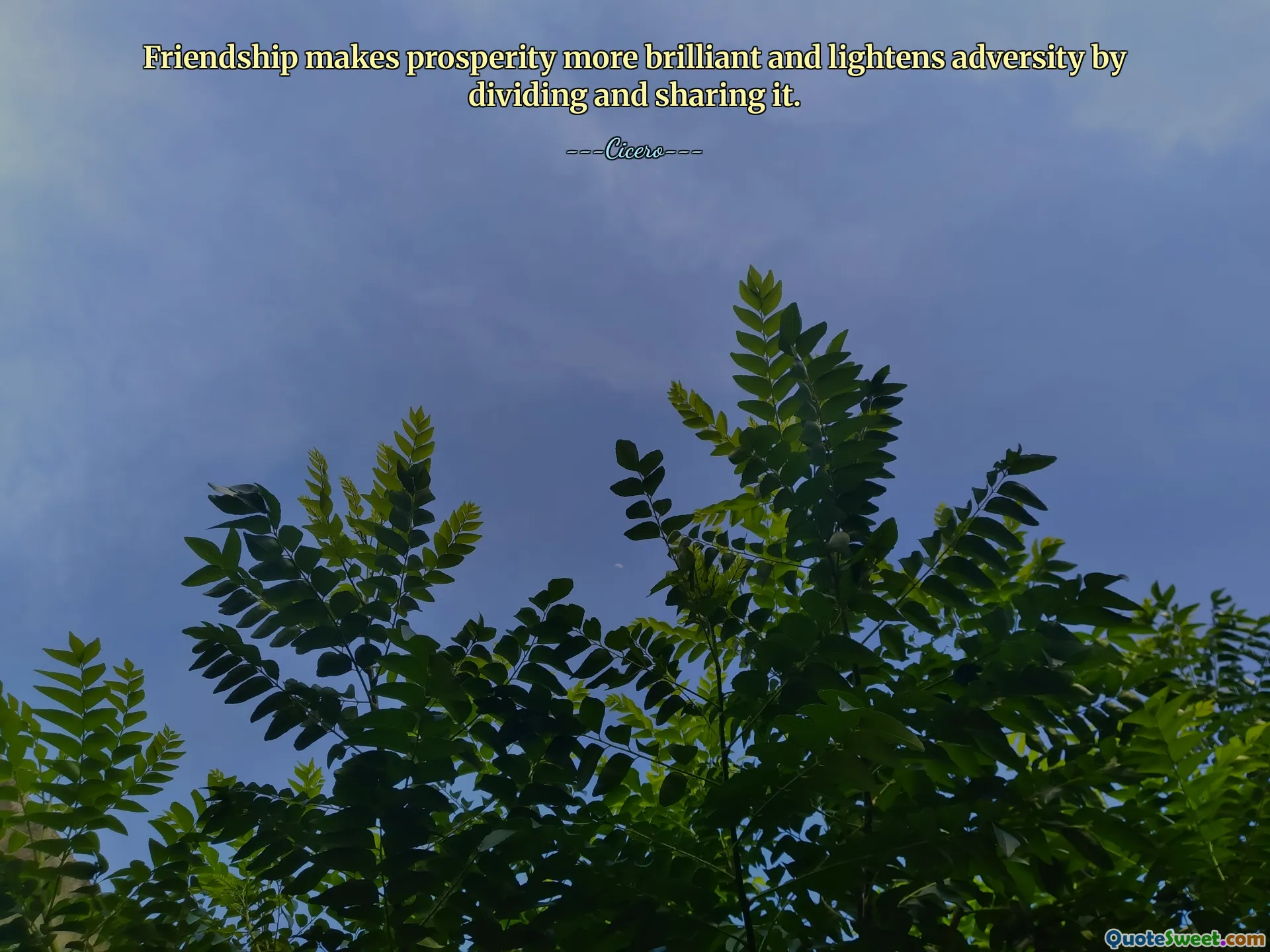 Friendship makes prosperity more brilliant and lightens adversity by dividing and sharing it.