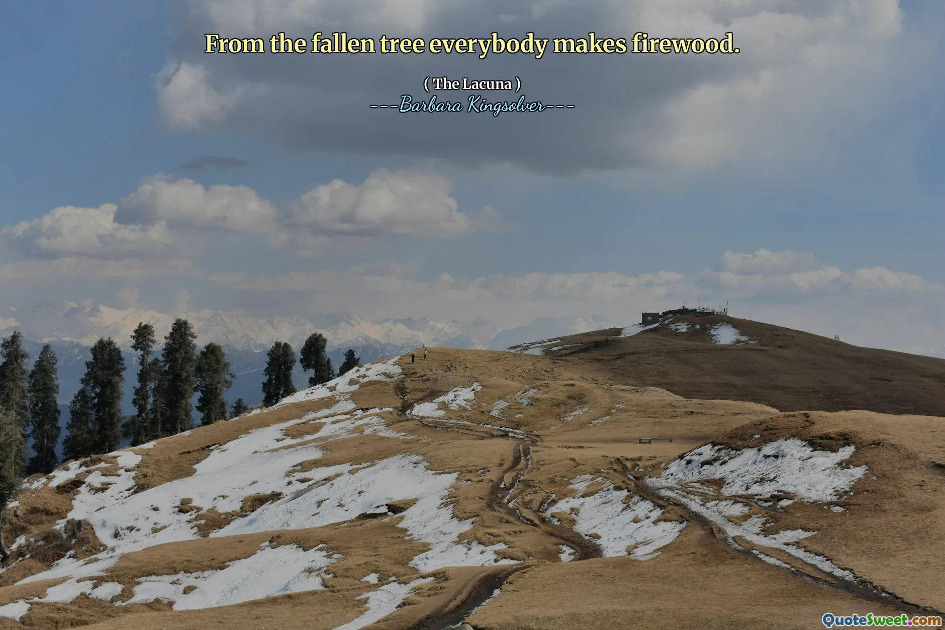 Dari pohon tumbang semua orang membuat kayu bakar.