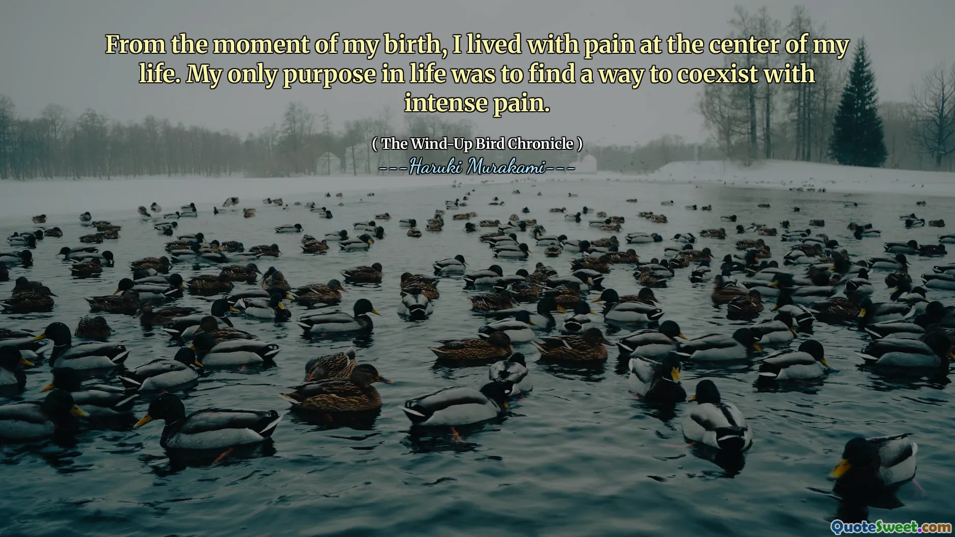 From the moment of my birth, I lived with pain at the center of my life. My only purpose in life was to find a way to coexist with intense pain.