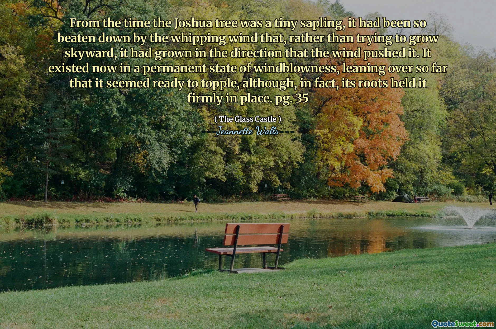 ジョシュアの木が小さな苗木であった時から、それは鞭打ちの風に非常に打ちのめされていたので、空に成長しようとするのではなく、風がそれを押した方向に成長しました。それは現在、恒久的な風の吹き付けの状態に存在しており、それは倒れる準備ができているように見えたが、実際にはその根はそれをしっかりと固定していた。 pg。 35