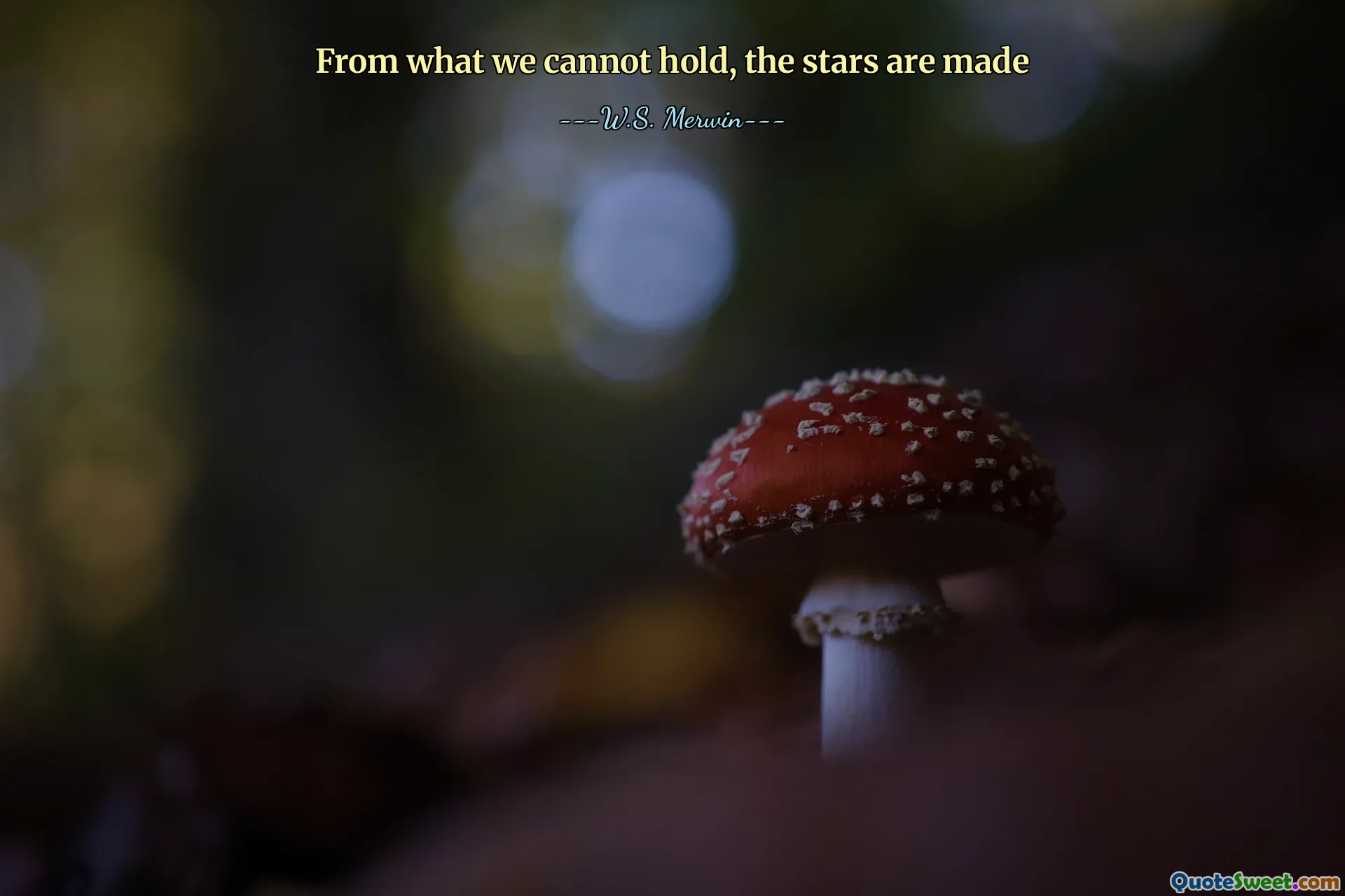 From what we cannot hold, the stars are made