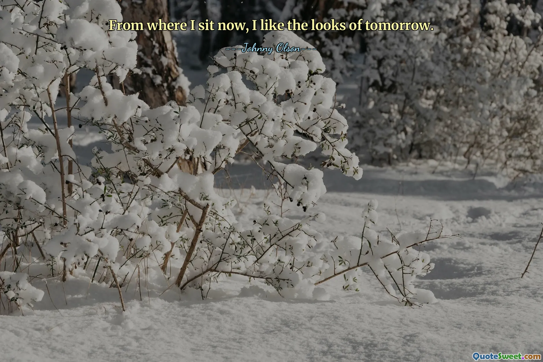 从我现在坐的地方来看，我喜欢明天的样子。