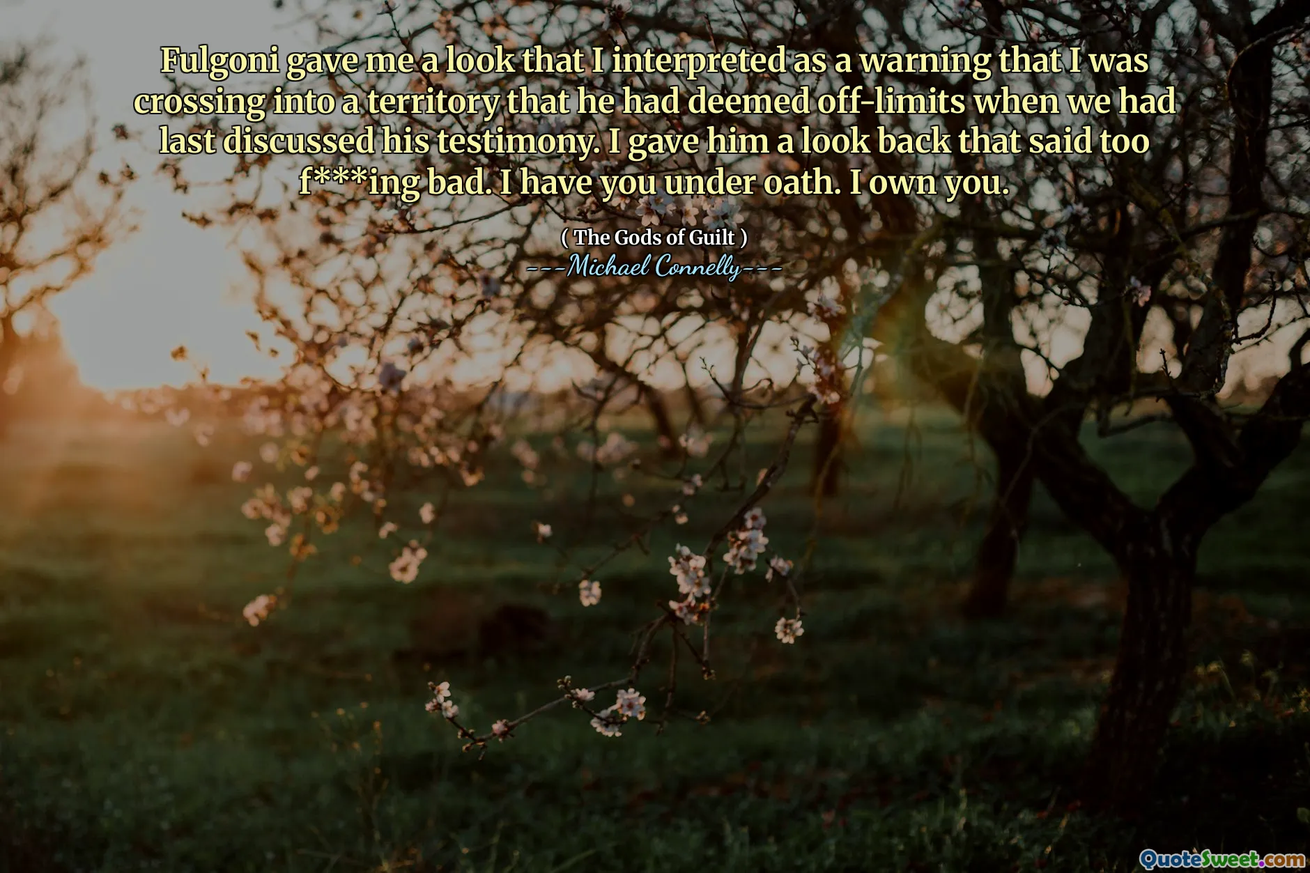 Fulgoni gave me a look that I interpreted as a warning that I was crossing into a territory that he had deemed off-limits when we had last discussed his testimony. I gave him a look back that said too f***ing bad. I have you under oath. I own you.