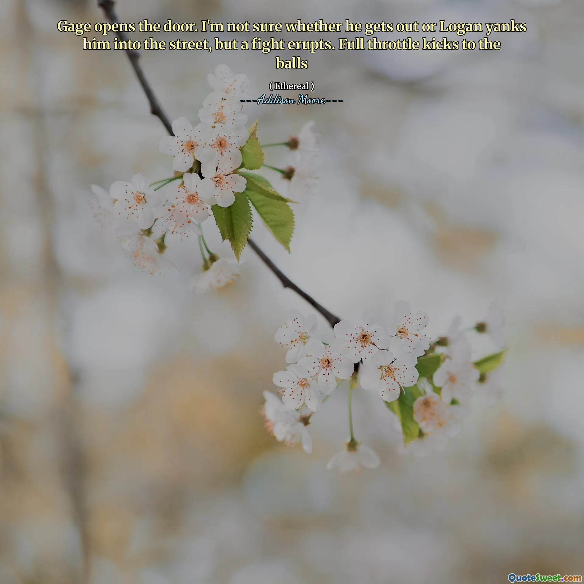 Gage opens the door. I'm not sure whether he gets out or Logan yanks him into the street, but a fight erupts. Full throttle kicks to the balls