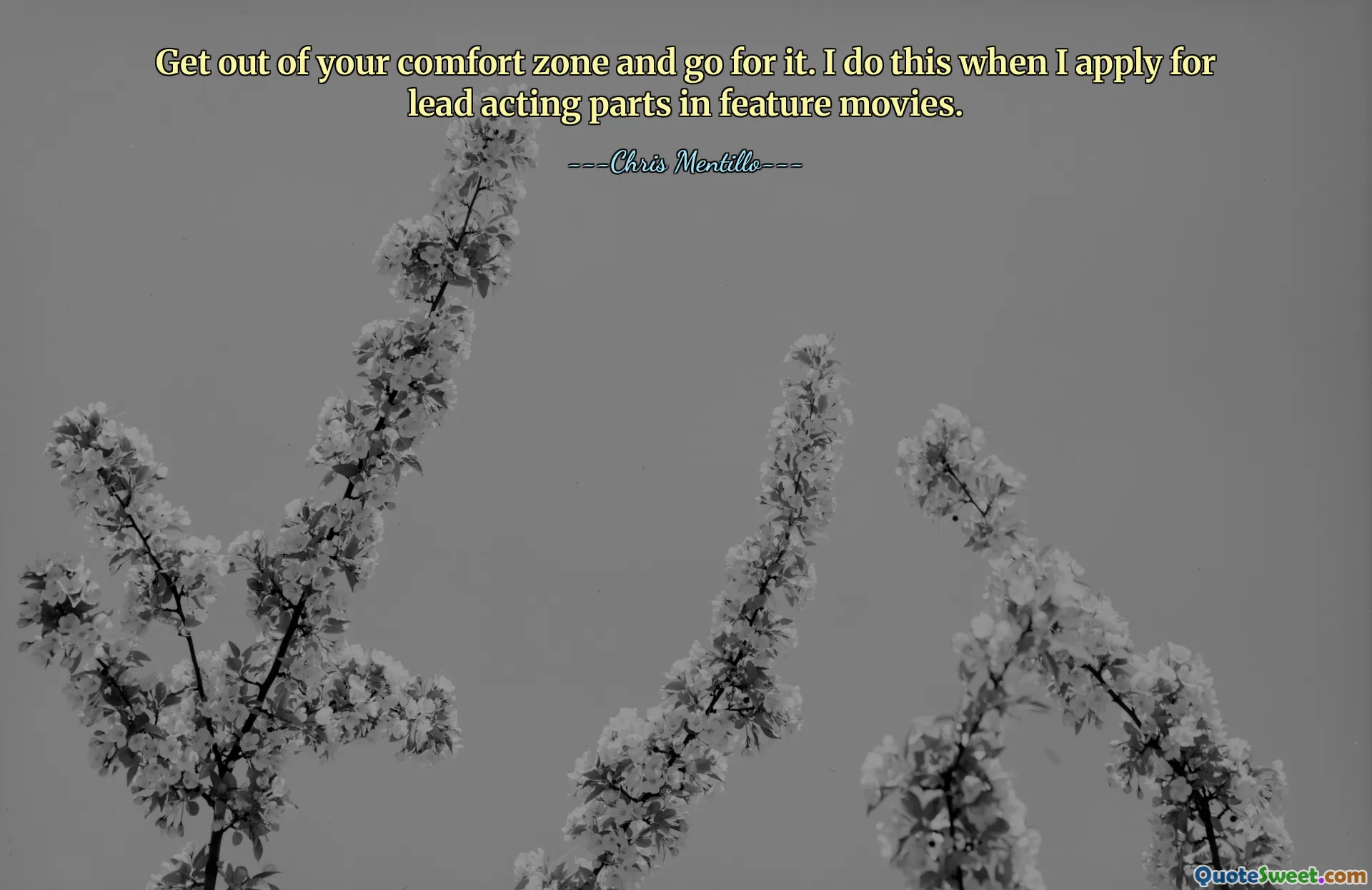 Get out of your comfort zone and go for it. I do this when I apply for lead acting parts in feature movies.