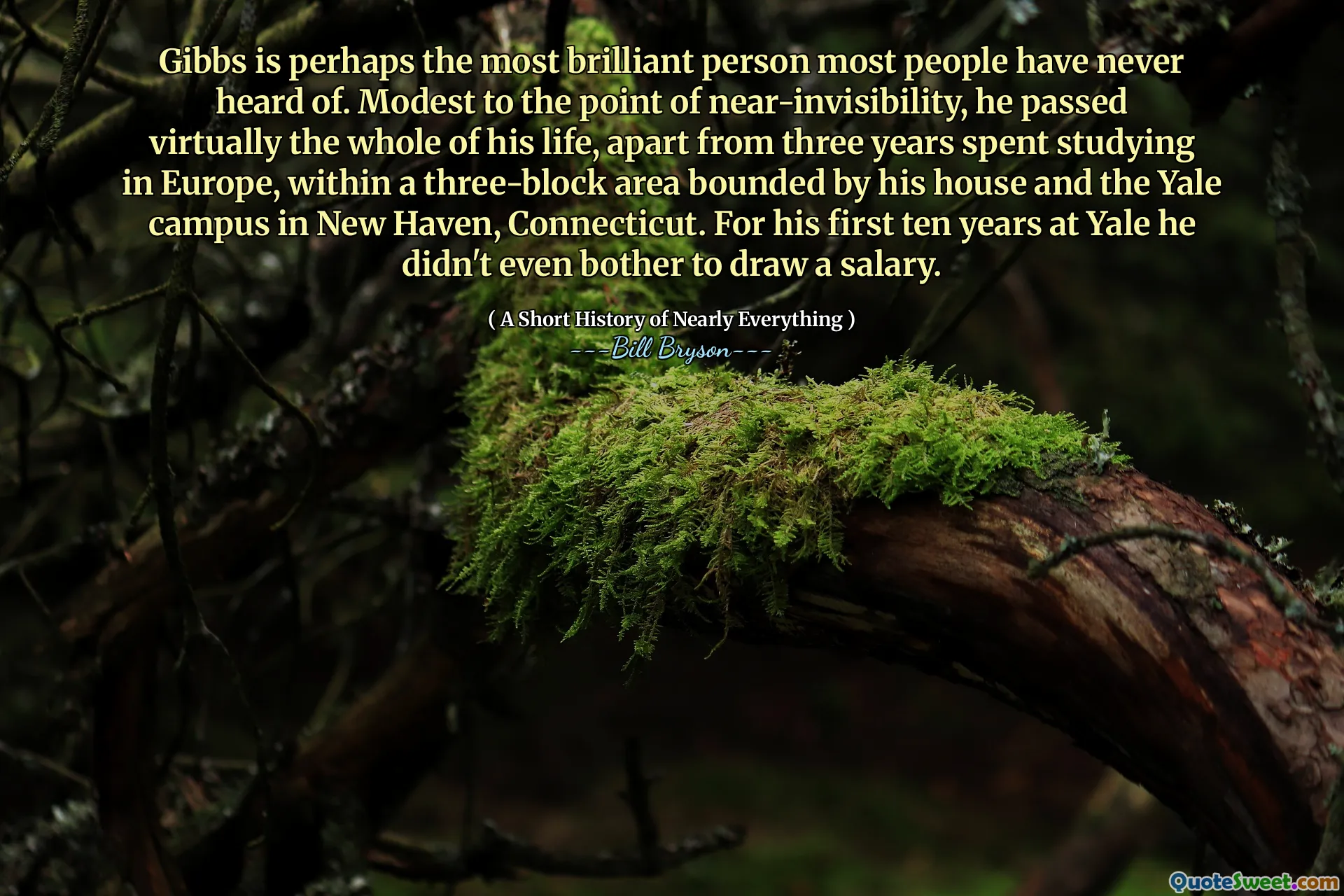 Gibbs is perhaps the most brilliant person most people have never heard of. Modest to the point of near-invisibility, he passed virtually the whole of his life, apart from three years spent studying in Europe, within a three-block area bounded by his house and the Yale campus in New Haven, Connecticut. For his first ten years at Yale he didn't even bother to draw a salary.