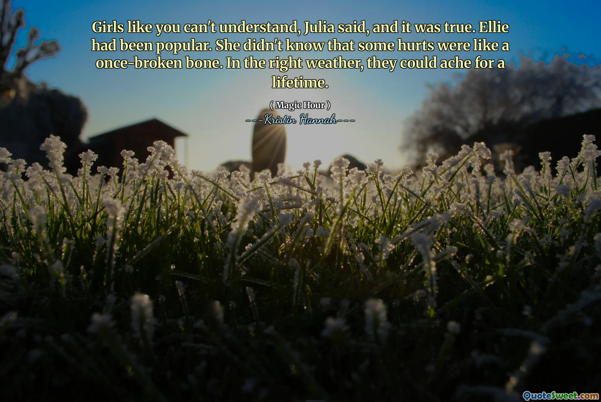 Girls like you can't understand, Julia said, and it was true. Ellie had been popular. She didn't know that some hurts were like a once-broken bone. In the right weather, they could ache for a lifetime.