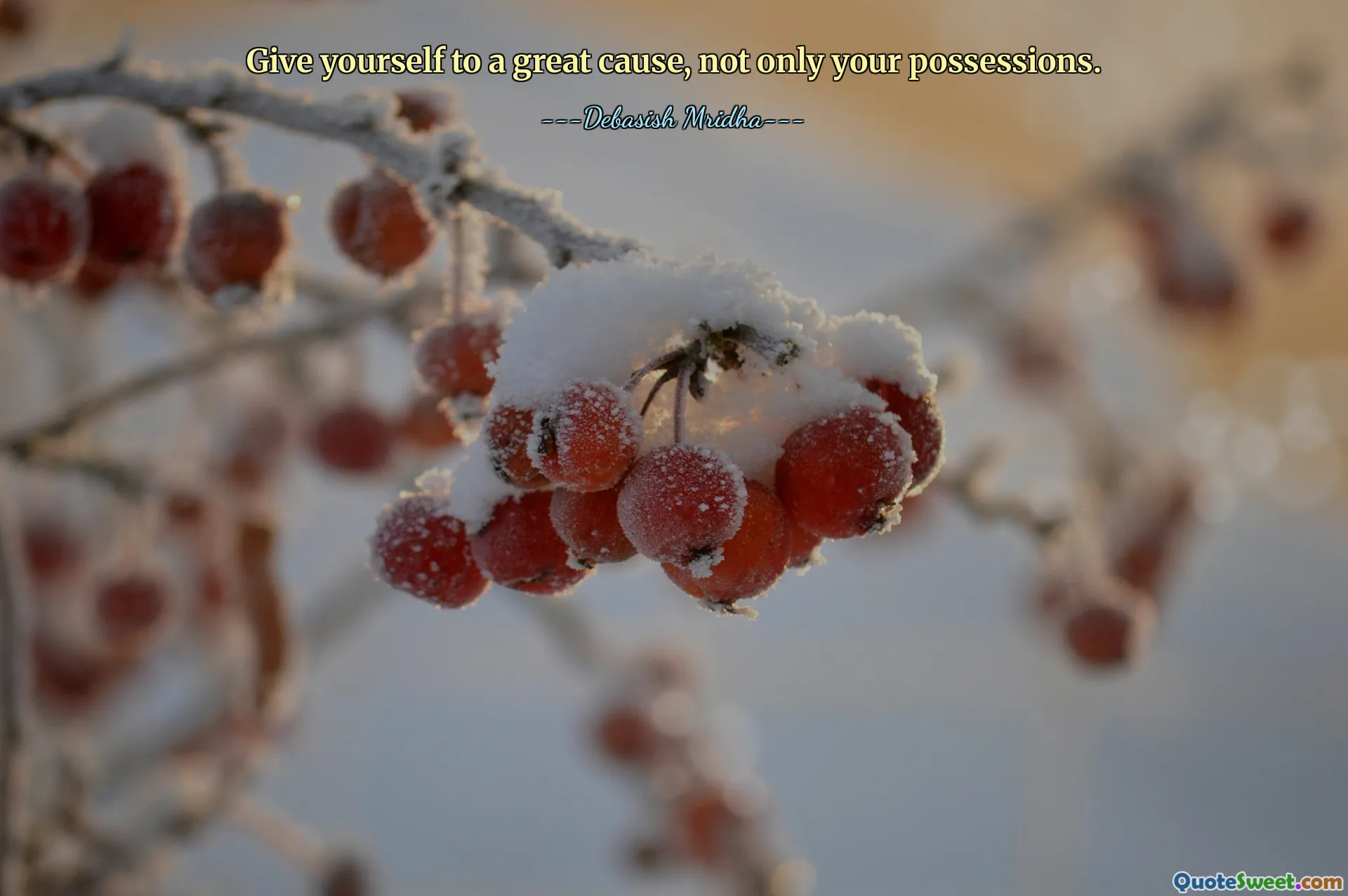 Give yourself to a great cause, not only your possessions.