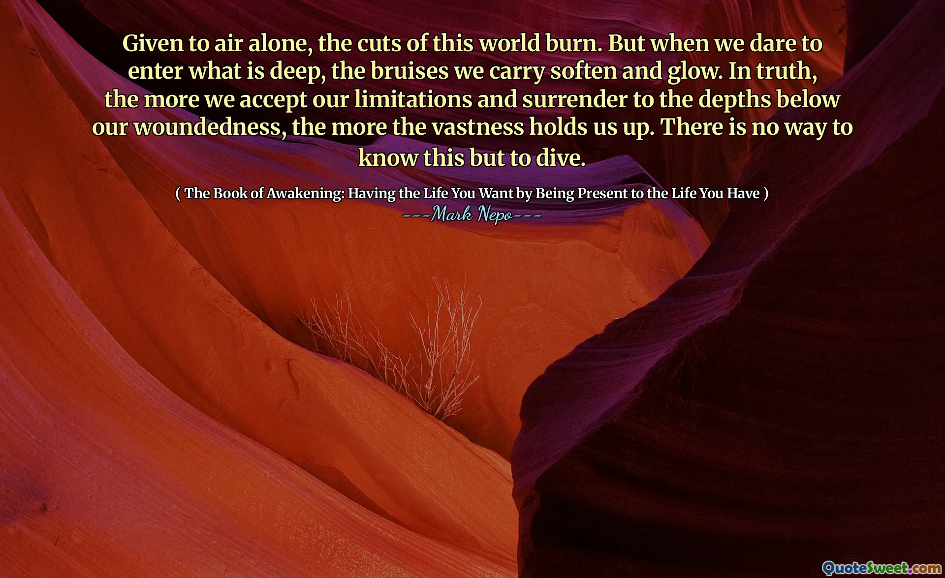 Dado al aire solo, los cortes de este mundo se queman. Pero cuando nos atrevemos a entrar en lo que es profundo, los moretones que llevamos suavizar y brillar. En verdad, cuanto más aceptamos nuestras limitaciones y nos rendimos a las profundidades debajo de nuestra herida, más nos mantiene la inmensidad. No hay forma de saber esto sino bucear.