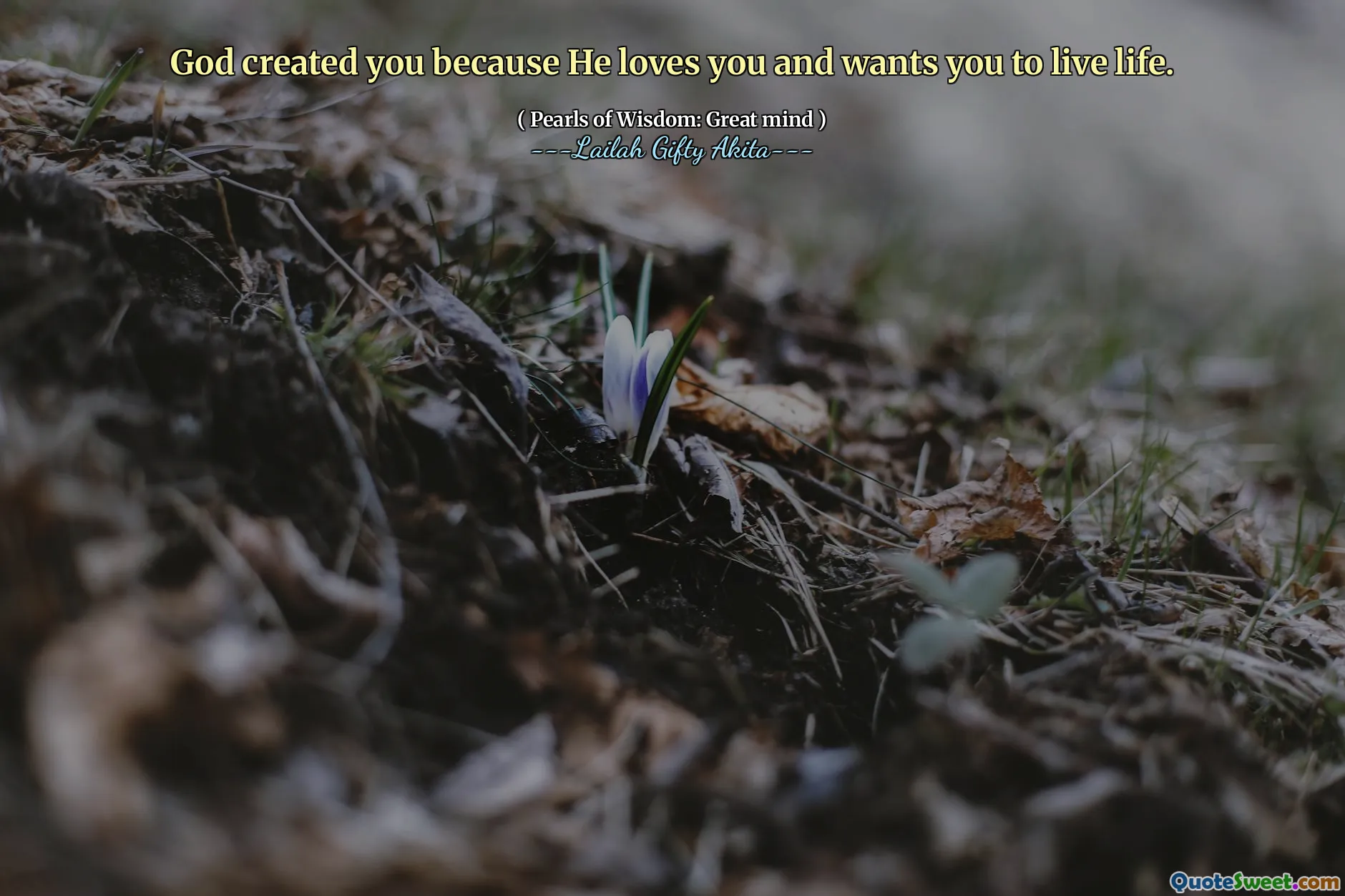God created you because He loves you and wants you to live life.