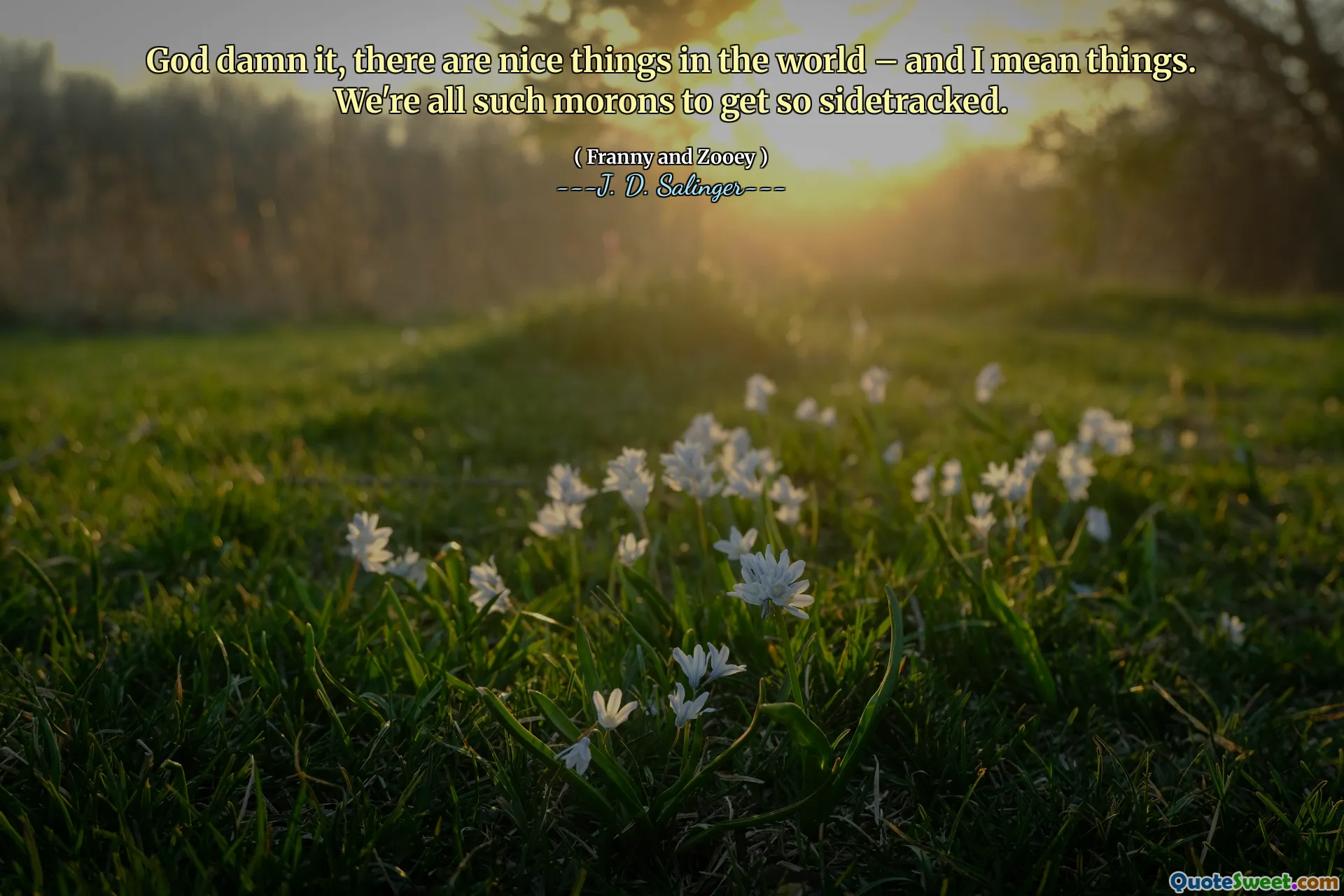 Gud jävla det, det finns trevliga saker i världen - och jag menar saker. Vi är alla sådana idiot för att bli så sidospårade.