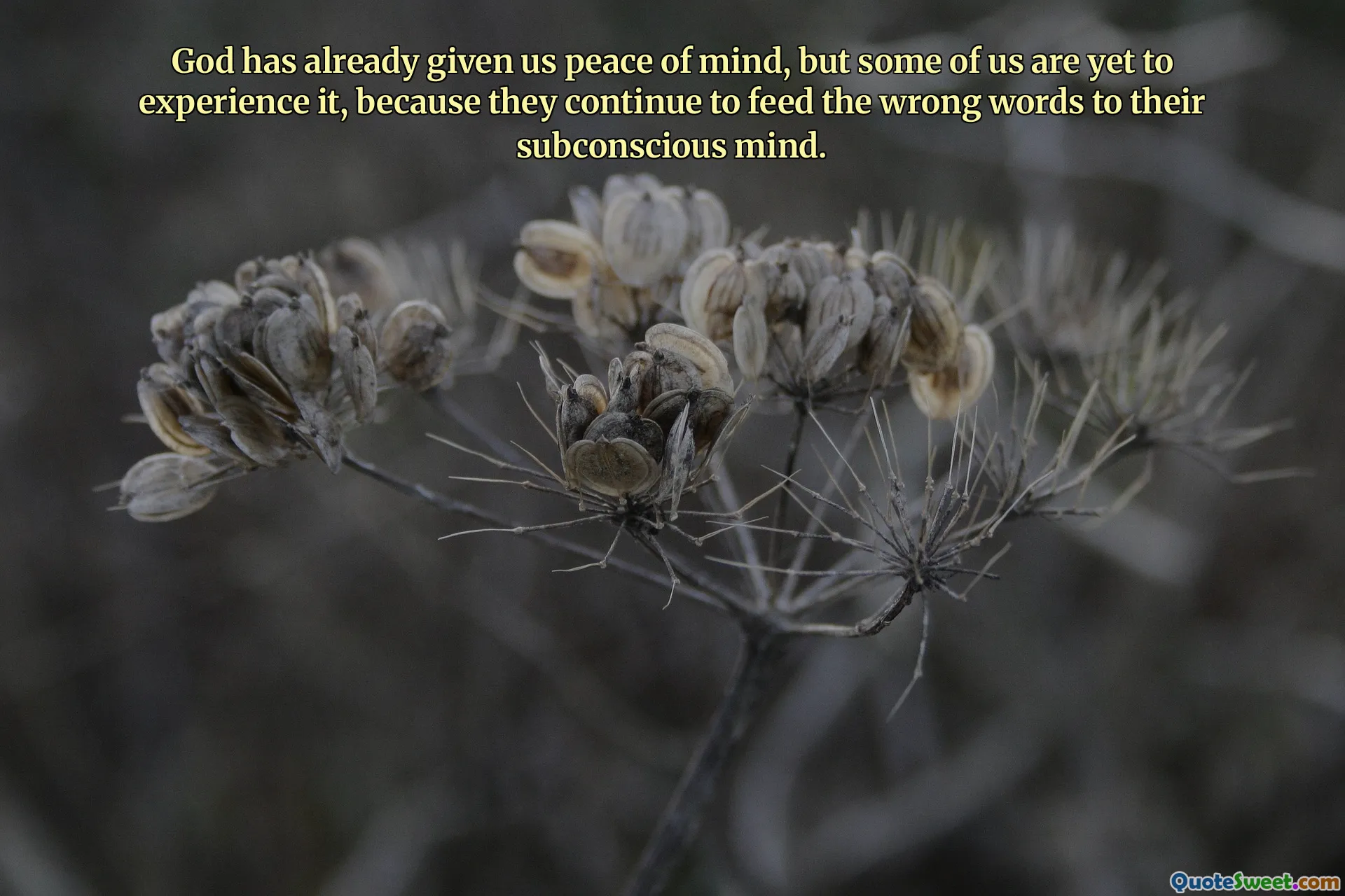 God has already given us peace of mind, but some of us are yet to experience it, because they continue to feed the wrong words to their subconscious mind.