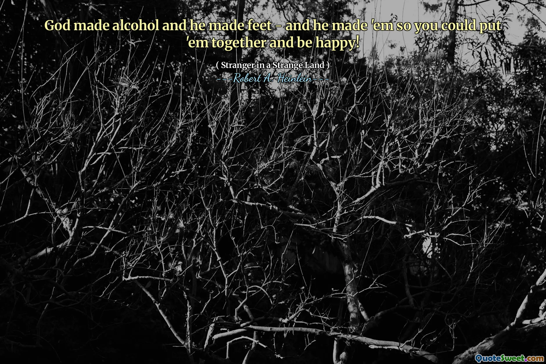 God made alcohol and he made feet - and he made 'em so you could put 'em together and be happy!