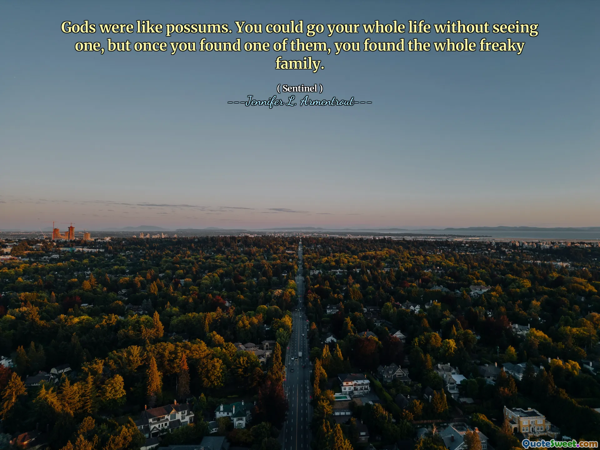 Gods were like possums. You could go your whole life without seeing one, but once you found one of them, you found the whole freaky family.