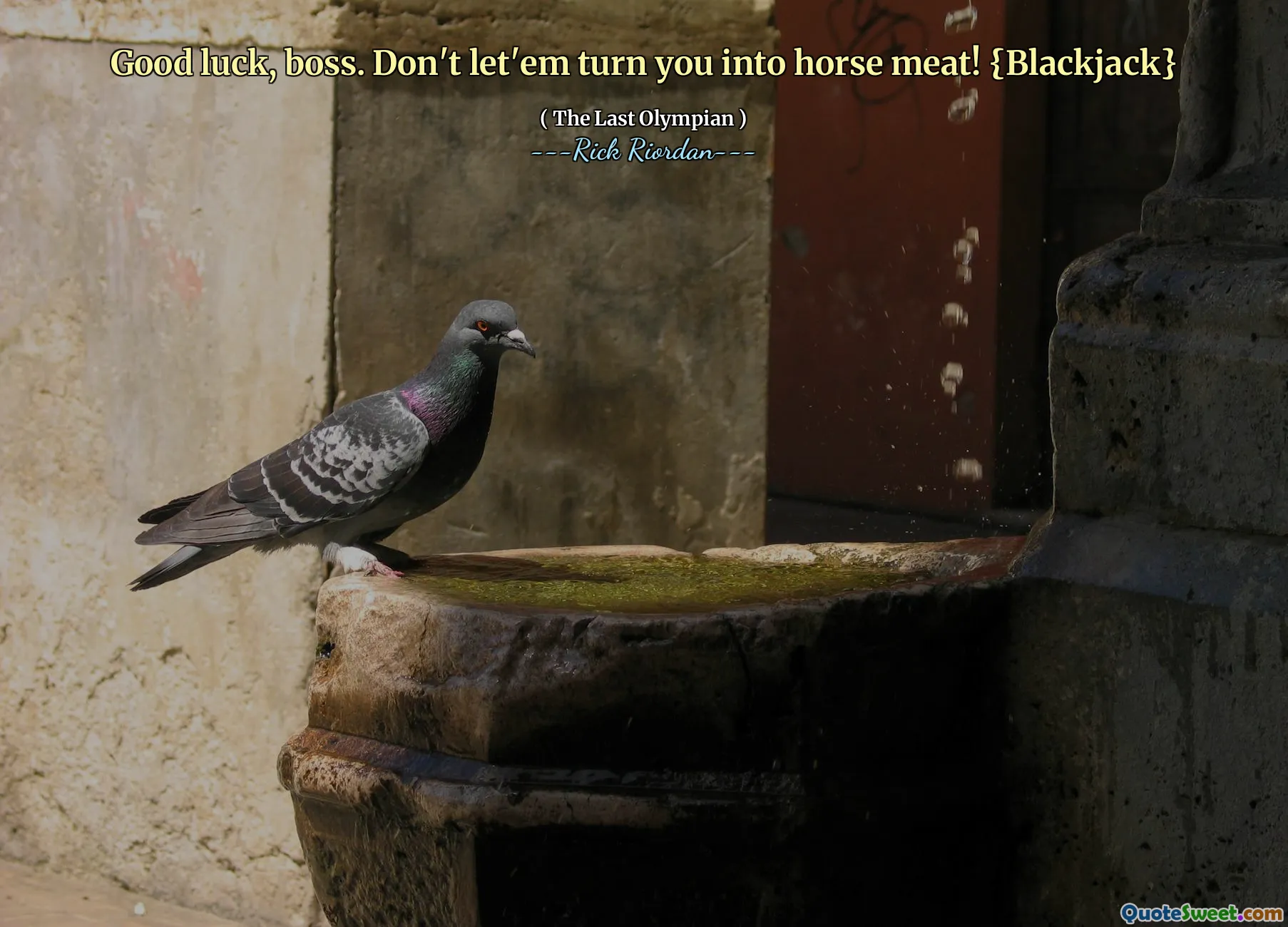 Good luck, boss. Don't let'em turn you into horse meat! {Blackjack}