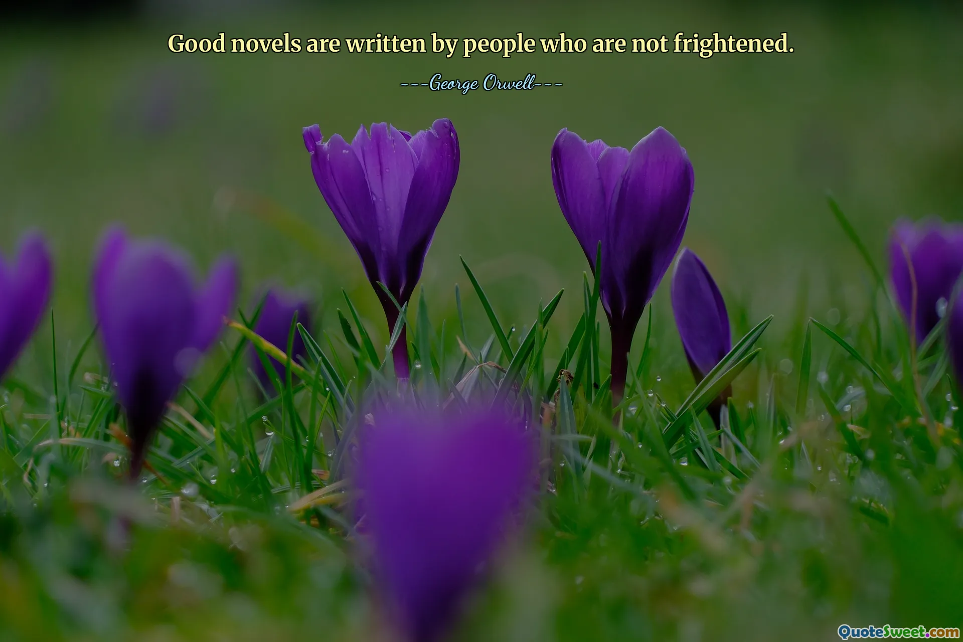 Good novels are written by people who are not frightened.