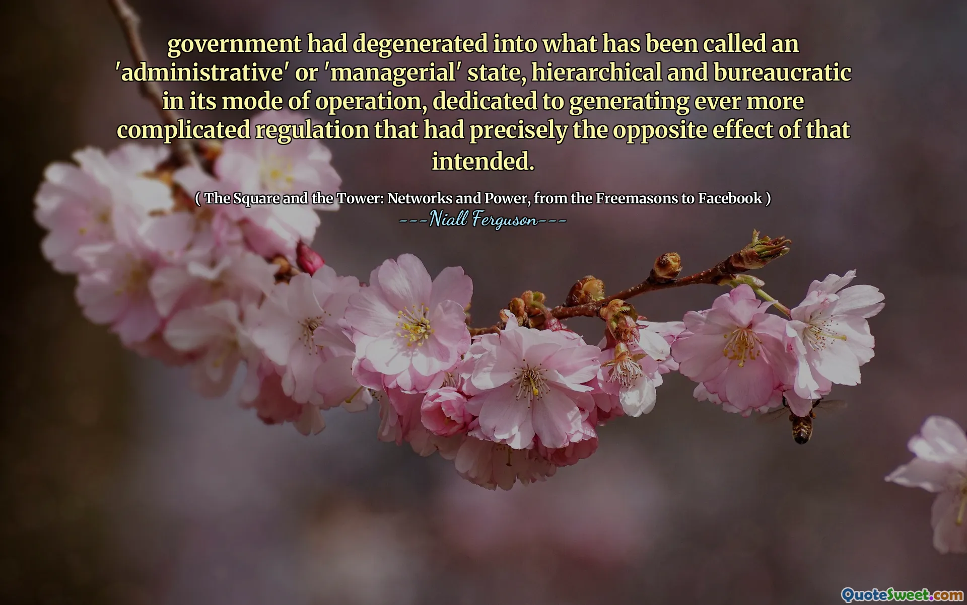 government had degenerated into what has been called an 'administrative' or 'managerial' state, hierarchical and bureaucratic in its mode of operation, dedicated to generating ever more complicated regulation that had precisely the opposite effect of that intended.
