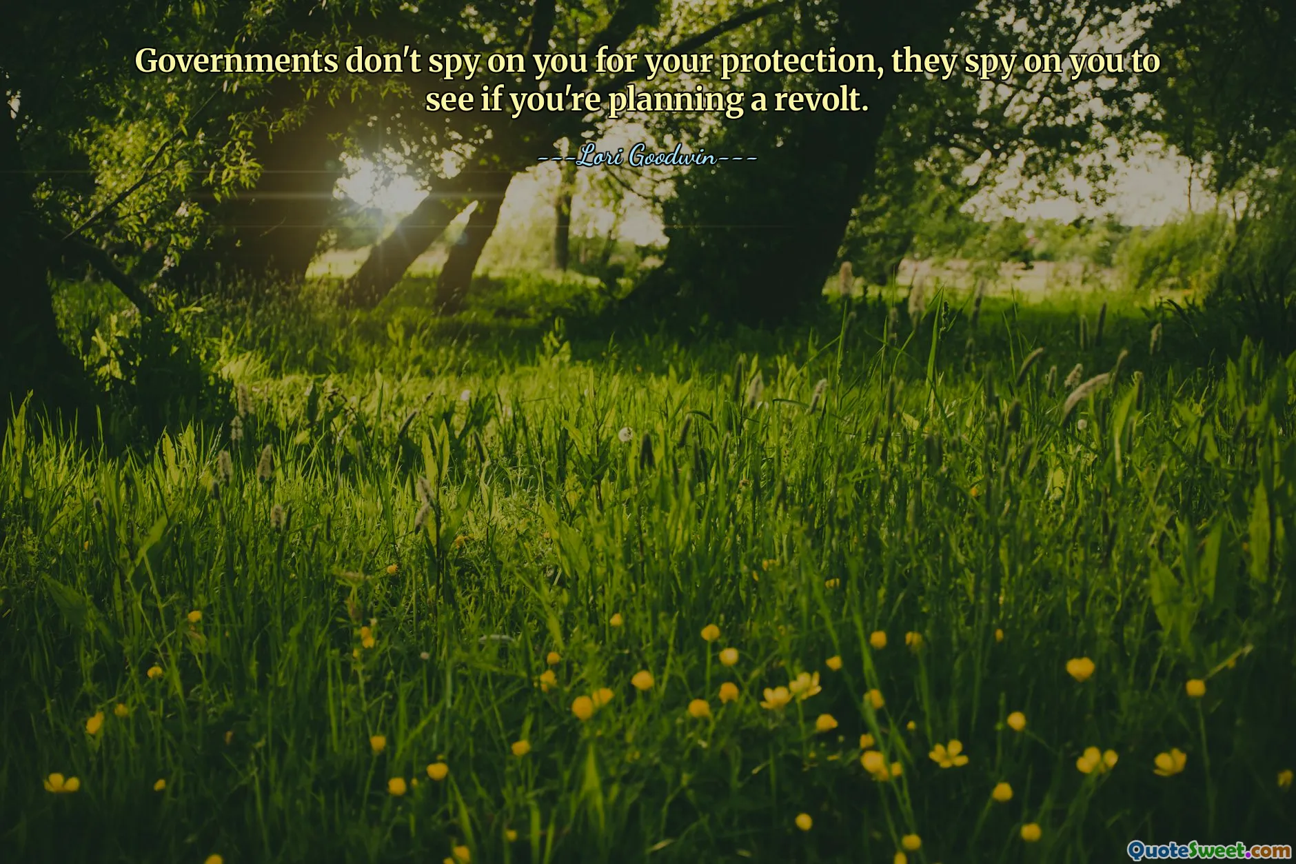 Governments don't spy on you for your protection, they spy on you to see if you're planning a revolt.