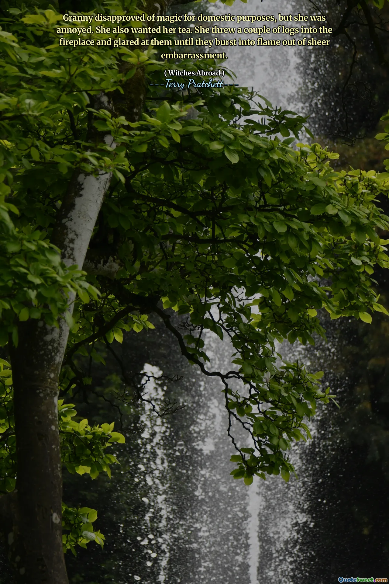 Granny disapproved of magic for domestic purposes, but she was annoyed. She also wanted her tea. She threw a couple of logs into the fireplace and glared at them until they burst into flame out of sheer embarrassment.